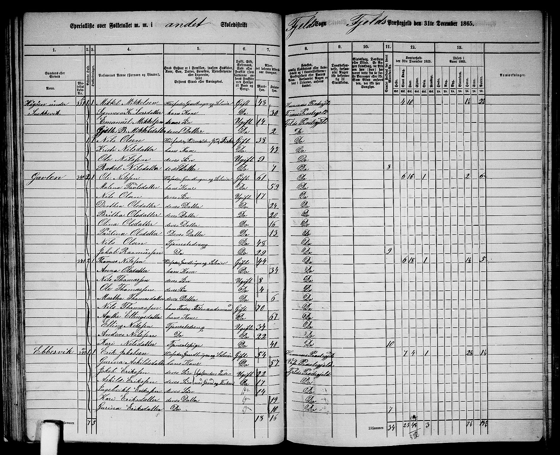 RA, 1865 census for Fjell, 1865, p. 45