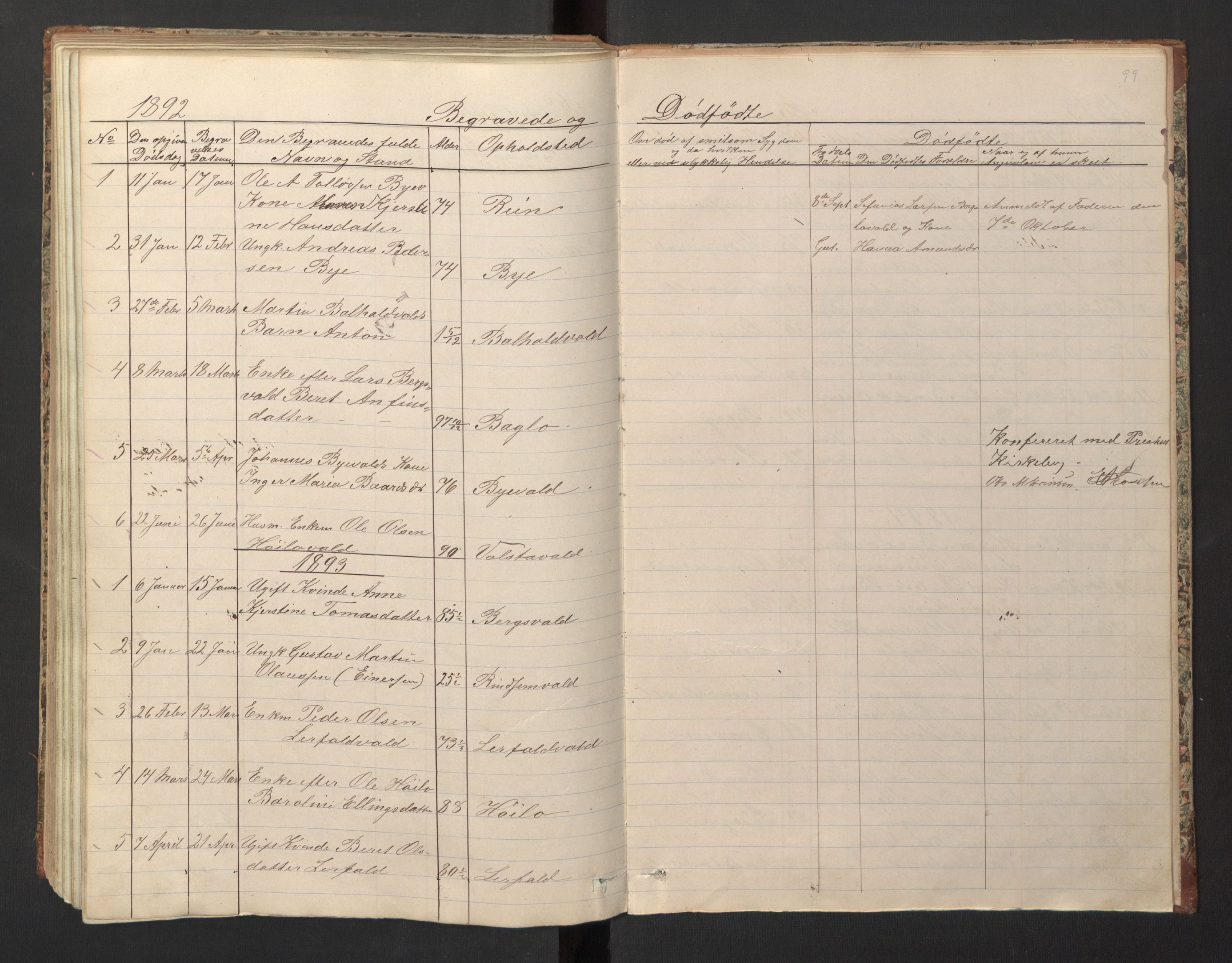 Ministerialprotokoller, klokkerbøker og fødselsregistre - Nord-Trøndelag, SAT/A-1458/726/L0271: Parish register (copy) no. 726C02, 1869-1897, p. 99