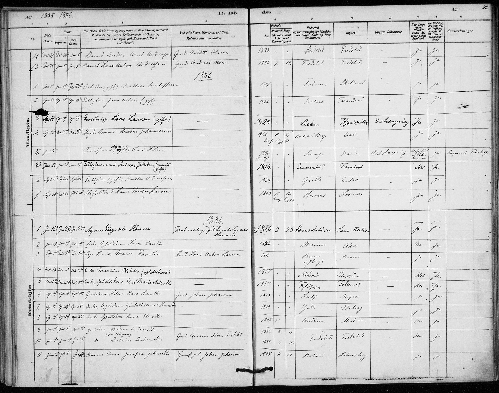 Sem kirkebøker, AV/SAKO-A-5/F/Fa/L0010: Parish register (official) no. I 10, 1878-1887, p. 113