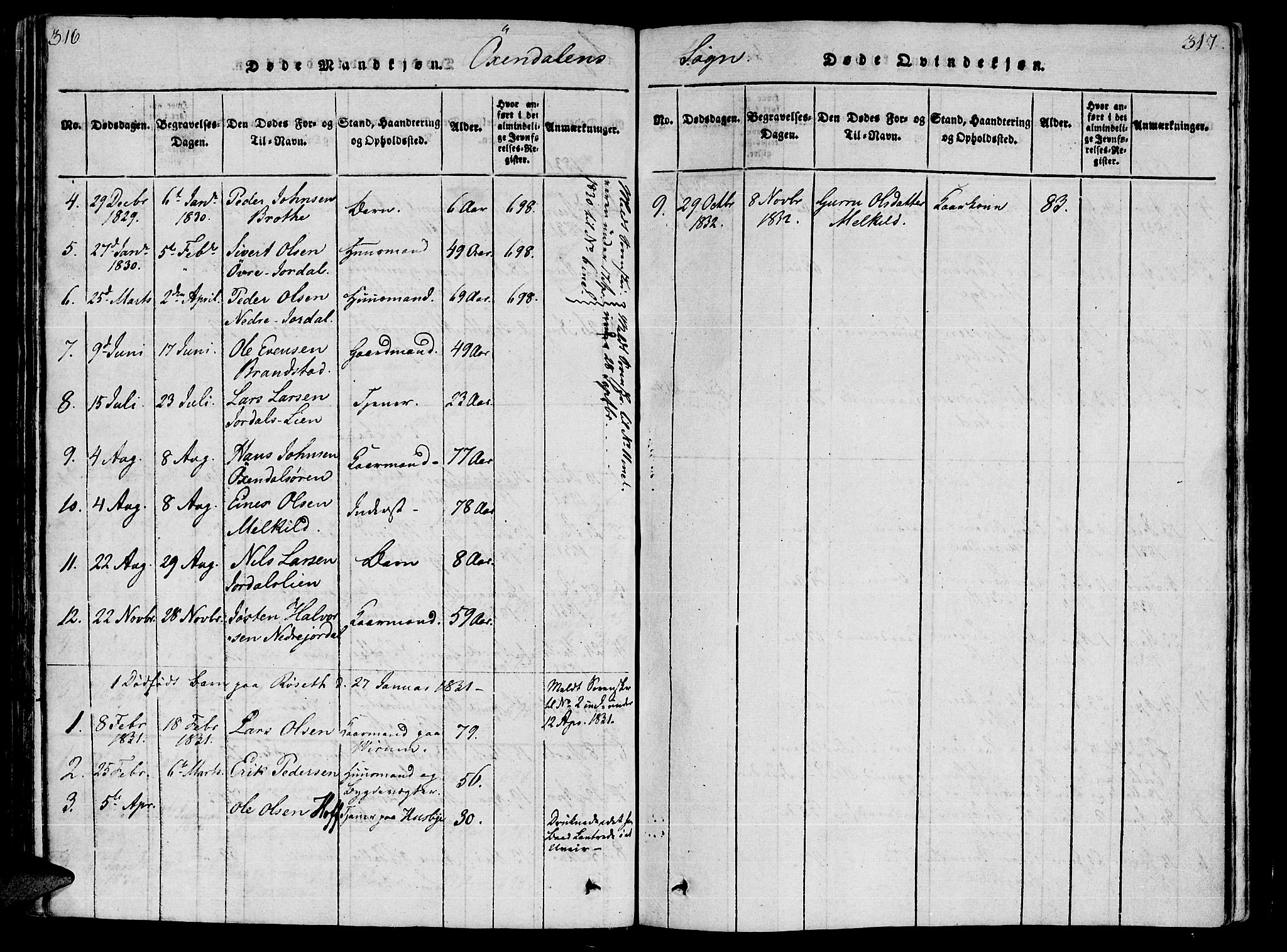 Ministerialprotokoller, klokkerbøker og fødselsregistre - Møre og Romsdal, SAT/A-1454/590/L1011: Parish register (official) no. 590A03 /3, 1819-1832, p. 316-317