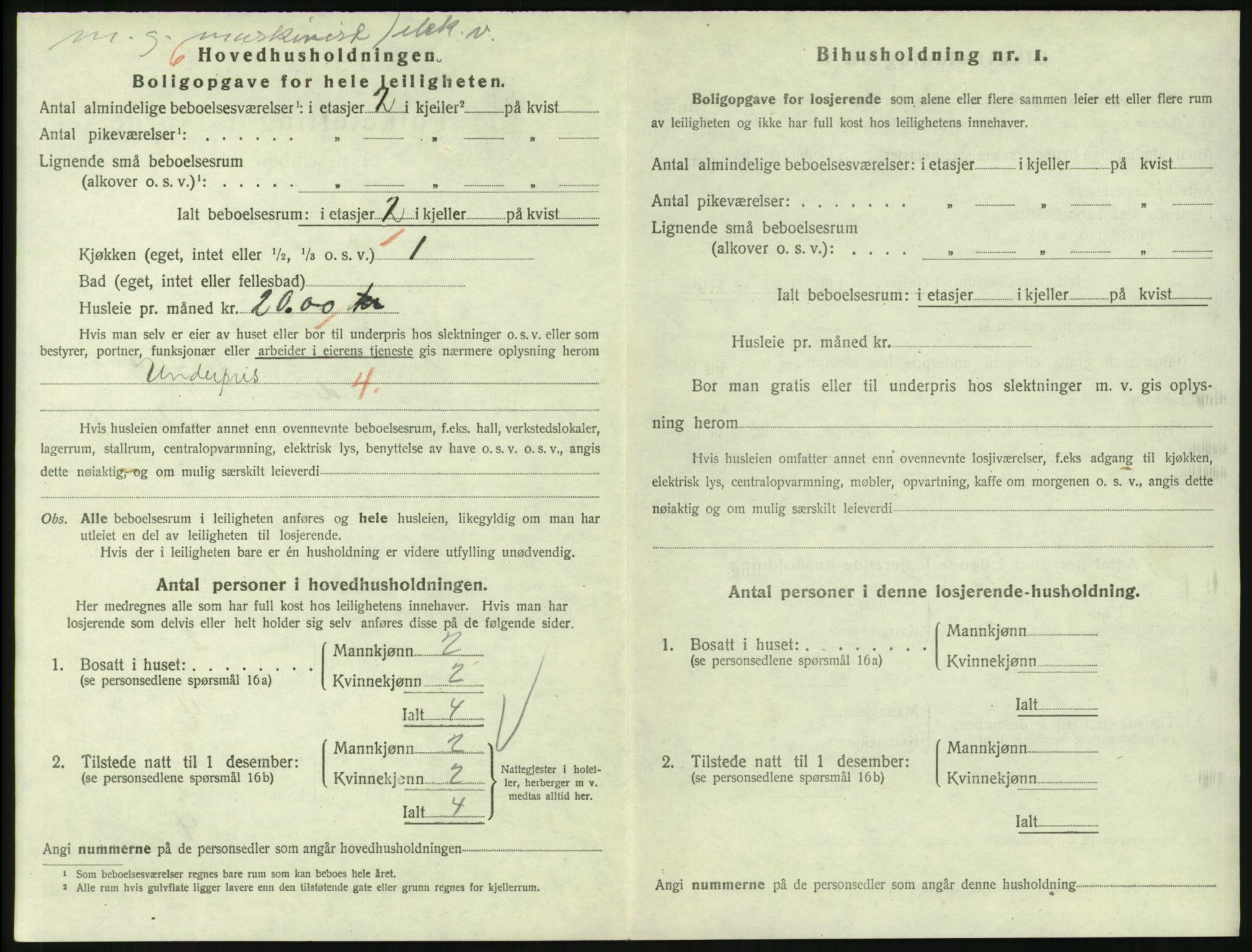 SAKO, 1920 census for Larvik, 1920, p. 3975