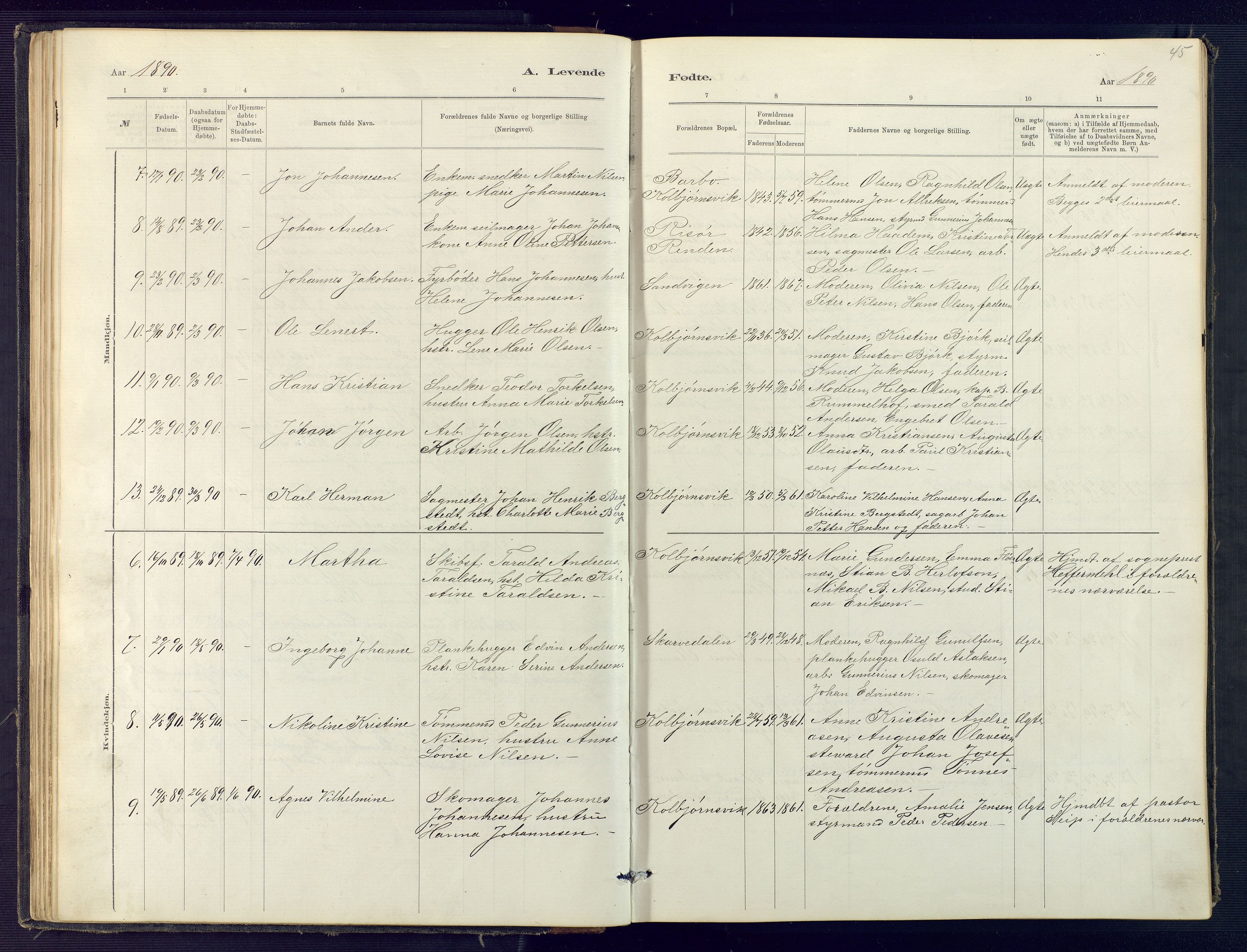 Hisøy sokneprestkontor, AV/SAK-1111-0020/F/Fb/L0003: Parish register (copy) no. B 3, 1885-1905, p. 45