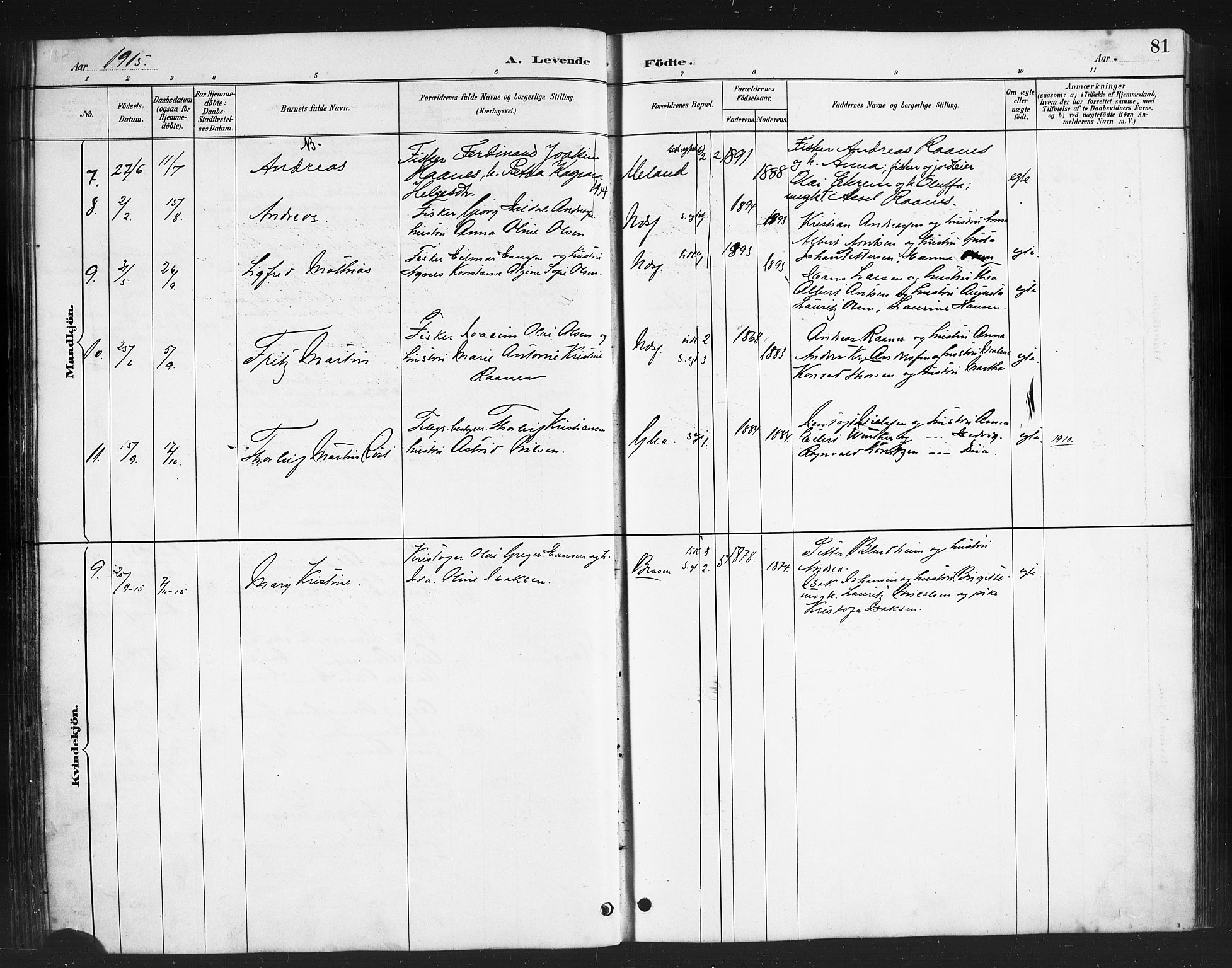 Ministerialprotokoller, klokkerbøker og fødselsregistre - Nordland, AV/SAT-A-1459/808/L0131: Parish register (copy) no. 808C02, 1879-1919, p. 81