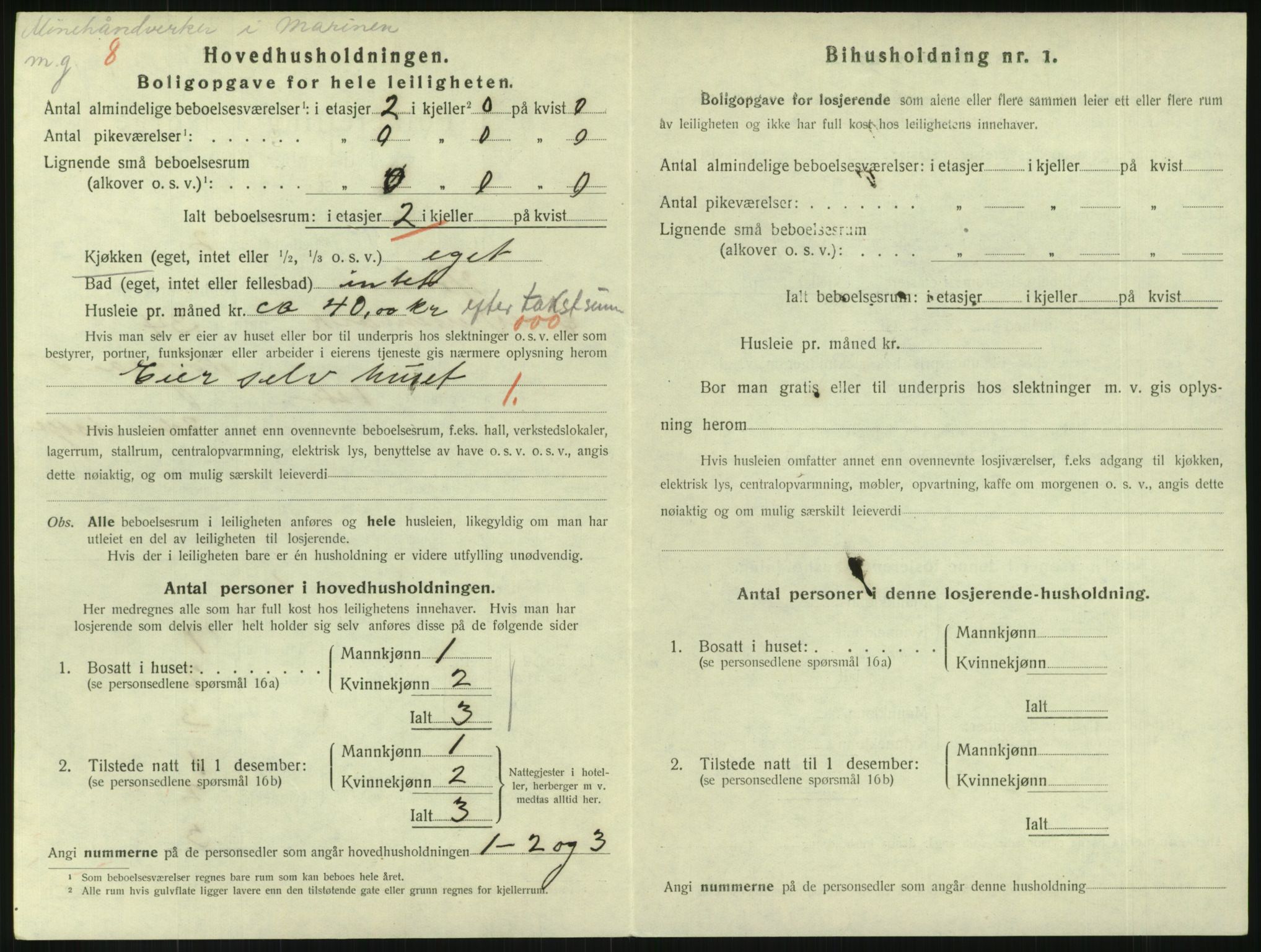 SAKO, 1920 census for Horten, 1920, p. 4290