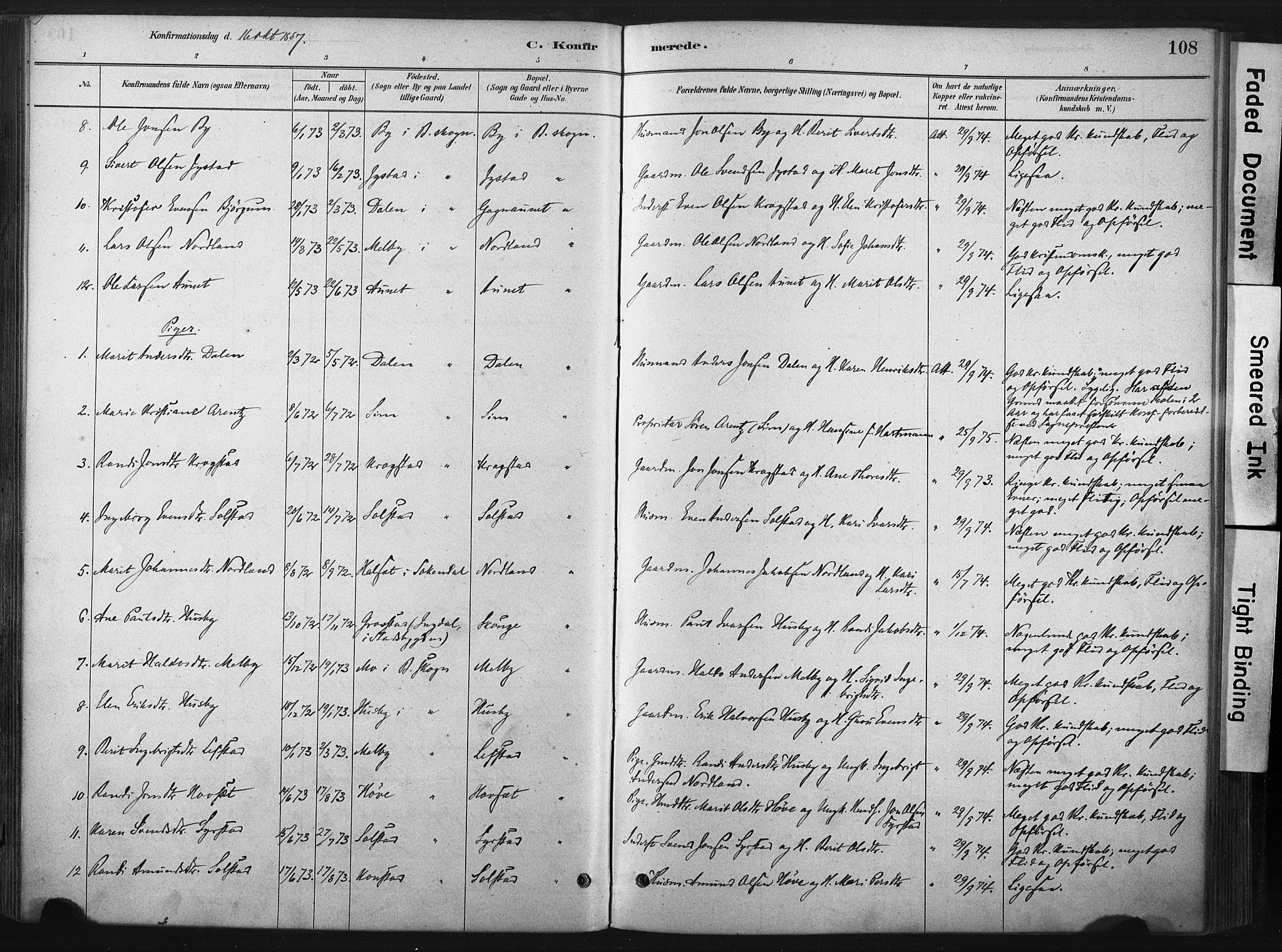 Ministerialprotokoller, klokkerbøker og fødselsregistre - Sør-Trøndelag, AV/SAT-A-1456/667/L0795: Parish register (official) no. 667A03, 1879-1907, p. 108