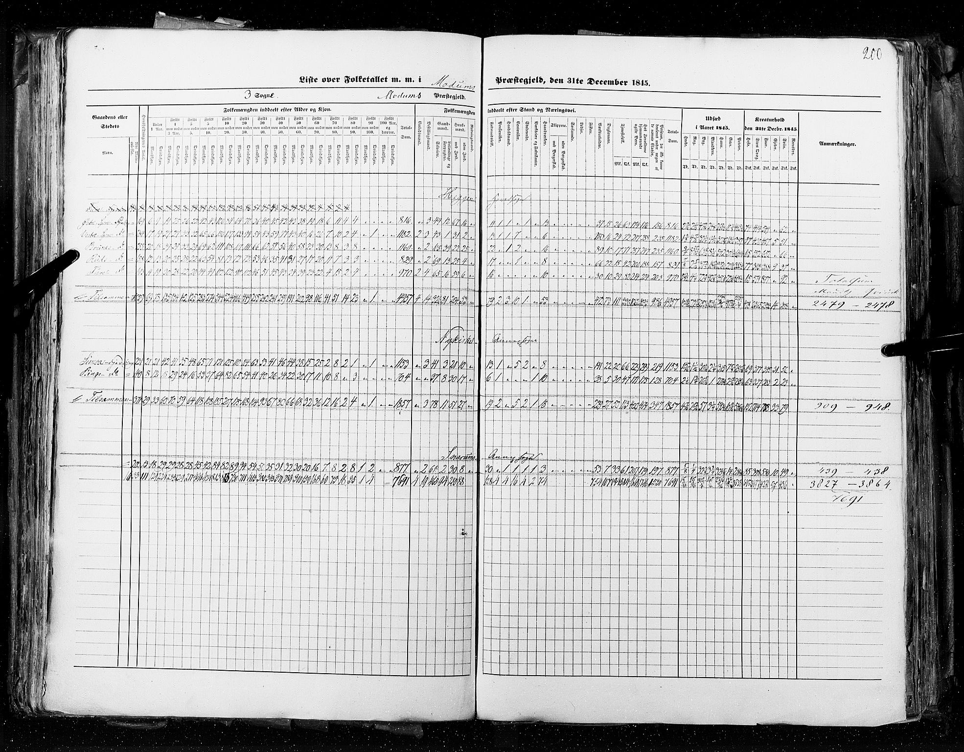 RA, Census 1845, vol. 4: Buskerud amt og Jarlsberg og Larvik amt, 1845, p. 200