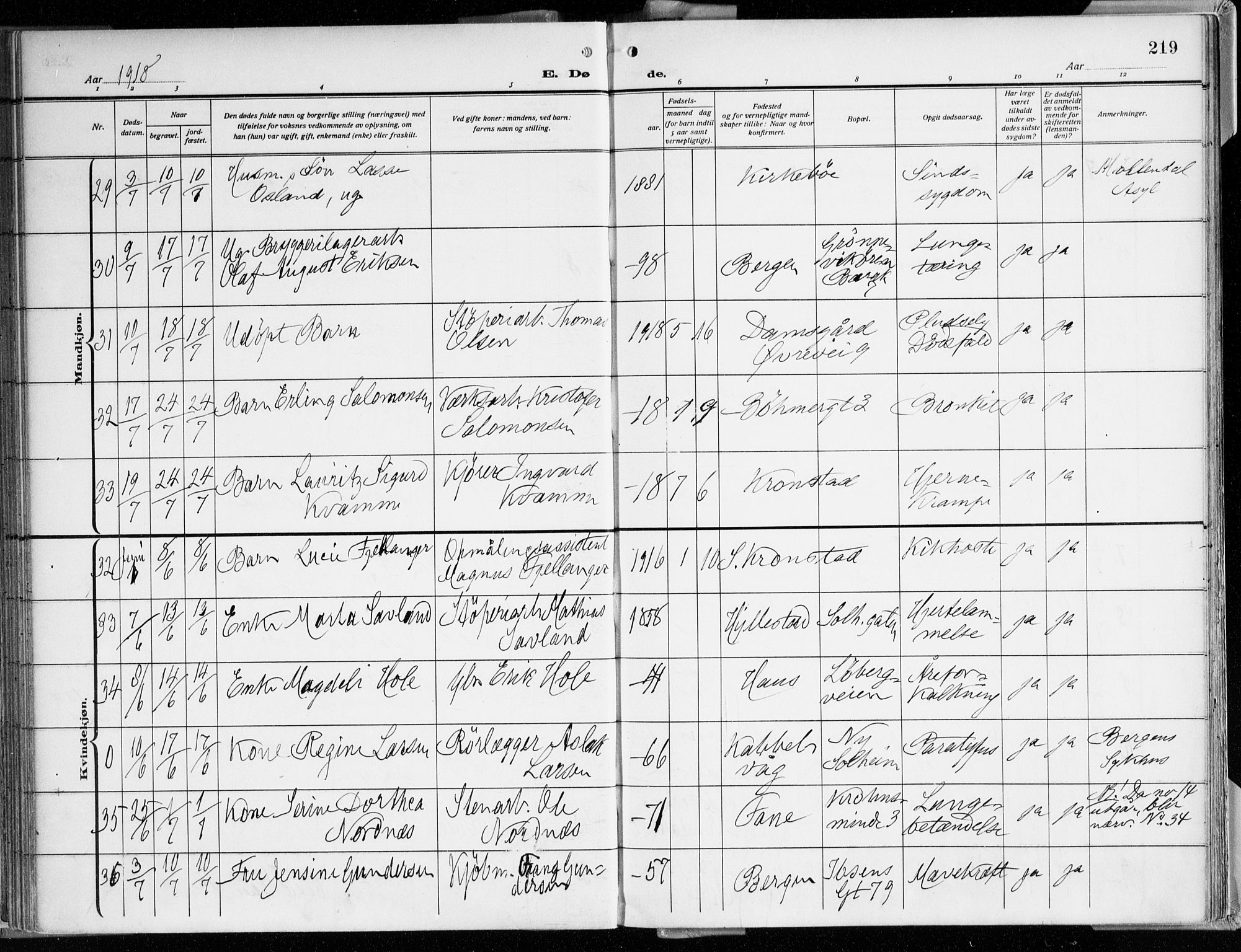 Årstad Sokneprestembete, AV/SAB-A-79301/H/Haa/L0003: Parish register (official) no. A 3, 1914-1919, p. 219