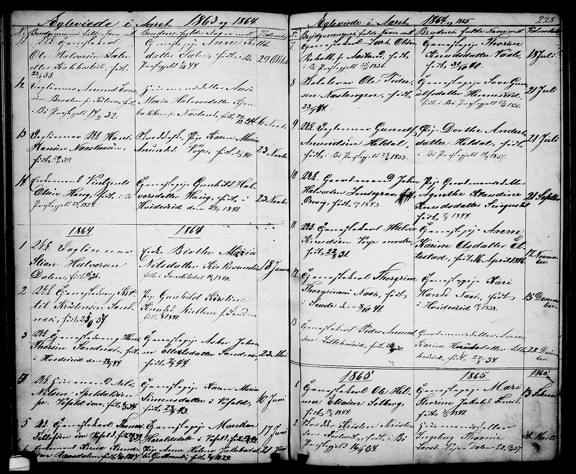 Drangedal kirkebøker, SAKO/A-258/G/Ga/L0002: Parish register (copy) no. I 2, 1856-1887, p. 228