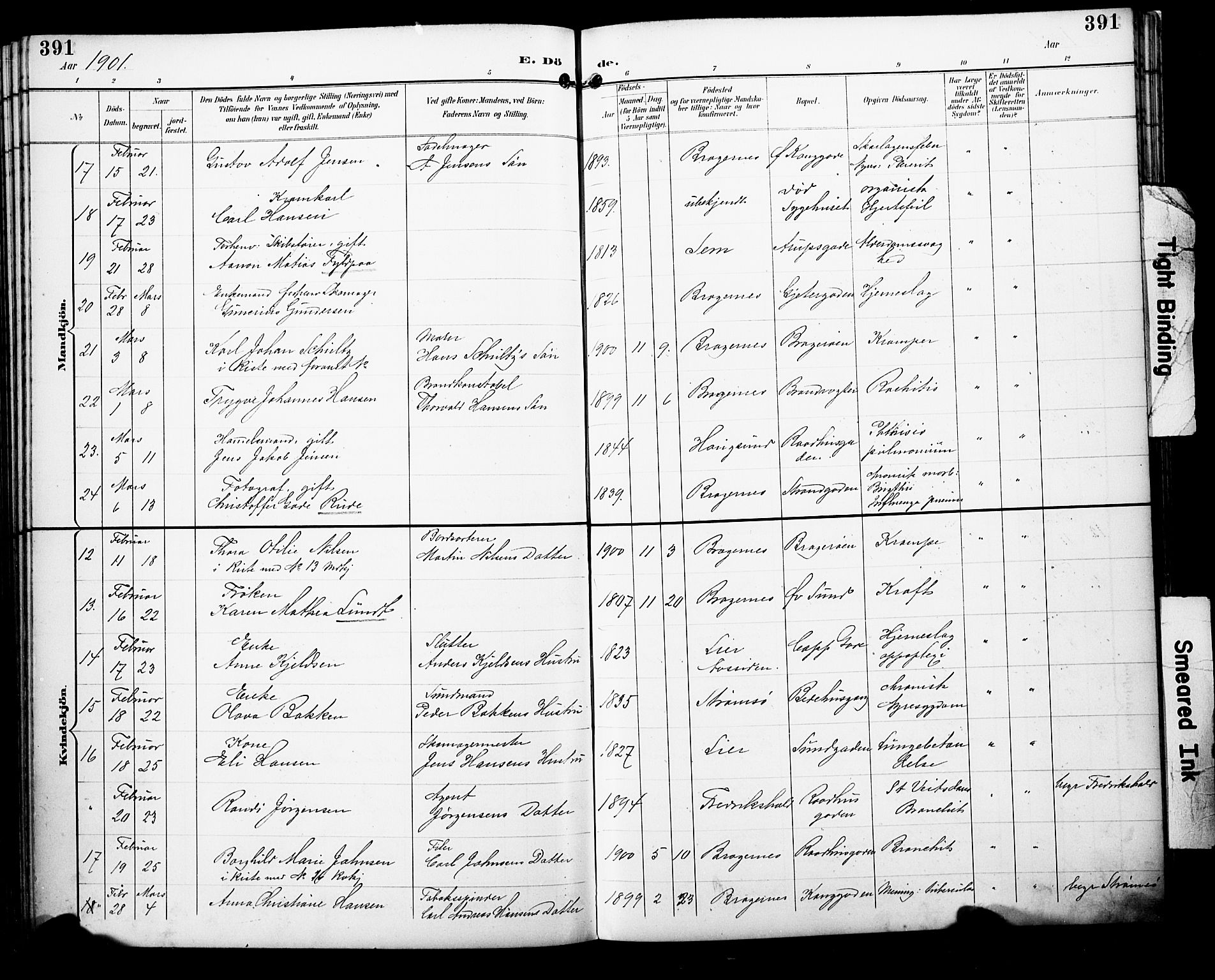 Bragernes kirkebøker, AV/SAKO-A-6/F/Fb/L0008: Parish register (official) no. II 8, 1894-1902, p. 391