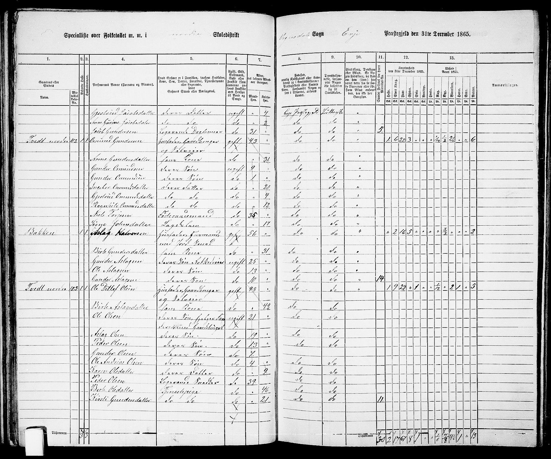 RA, 1865 census for Evje, 1865, p. 46