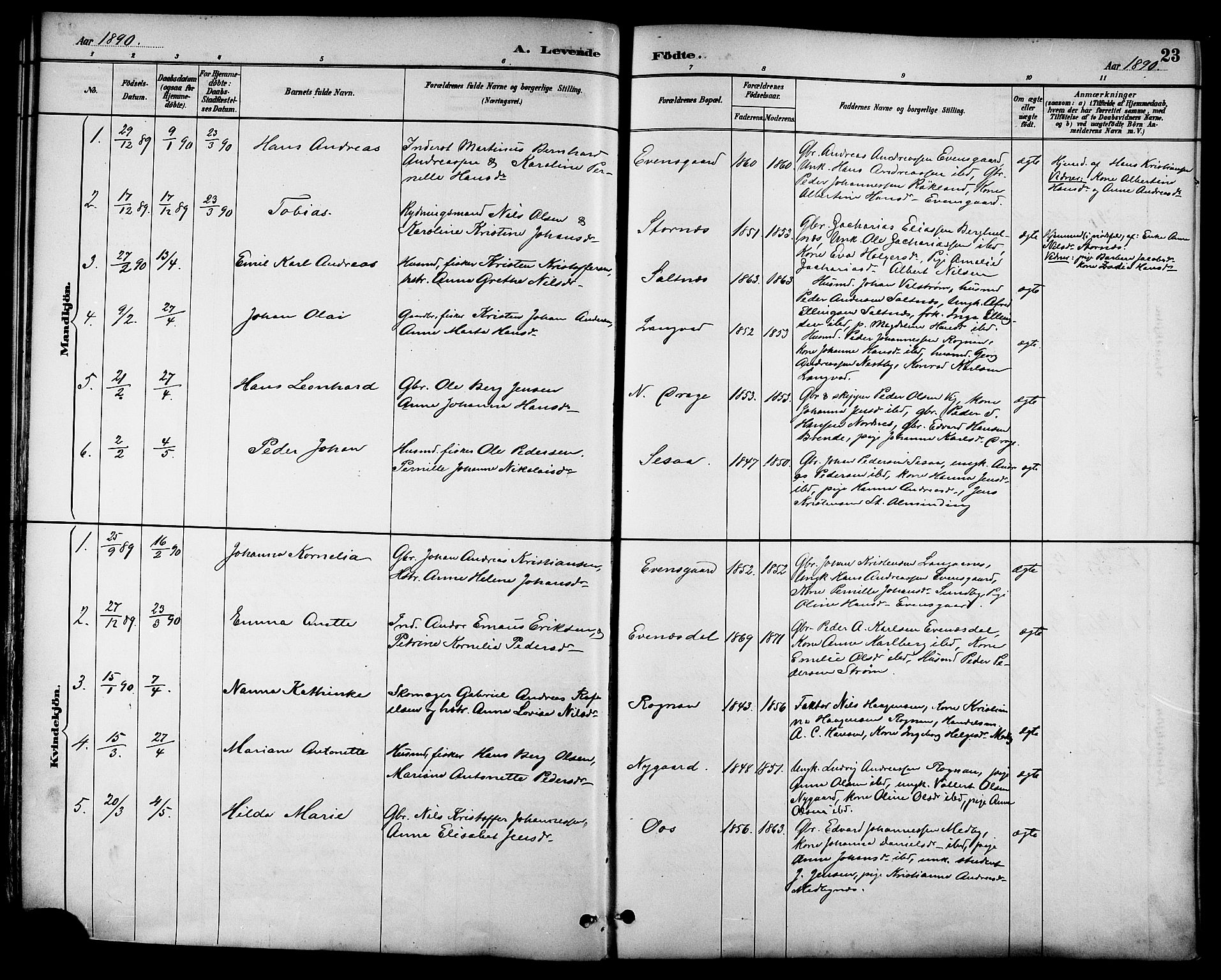 Ministerialprotokoller, klokkerbøker og fødselsregistre - Nordland, AV/SAT-A-1459/847/L0669: Parish register (official) no. 847A09, 1887-1901, p. 23