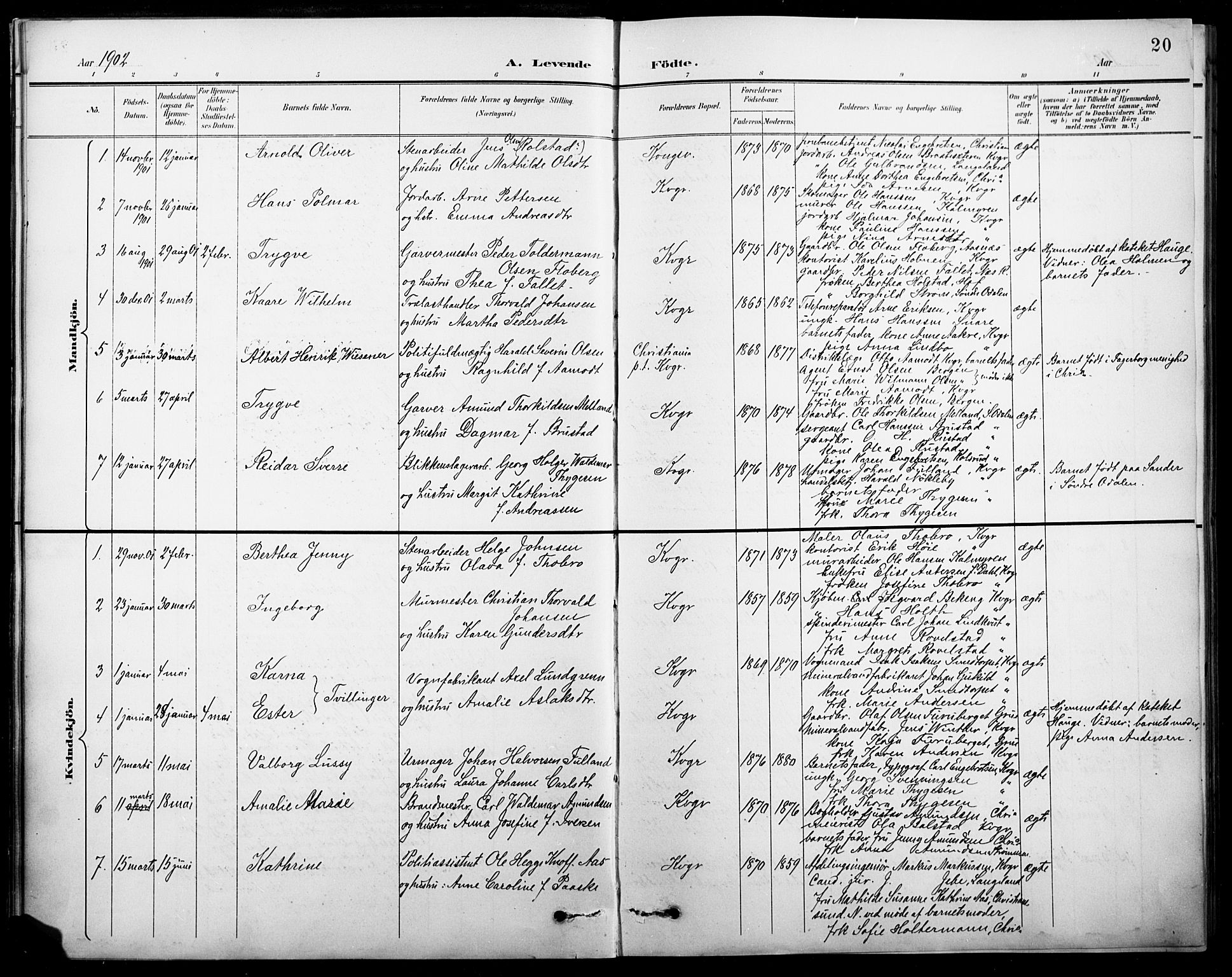 Vinger prestekontor, AV/SAH-PREST-024/H/Ha/Hab/L0005: Parish register (copy) no. 5, 1895-1920, p. 20