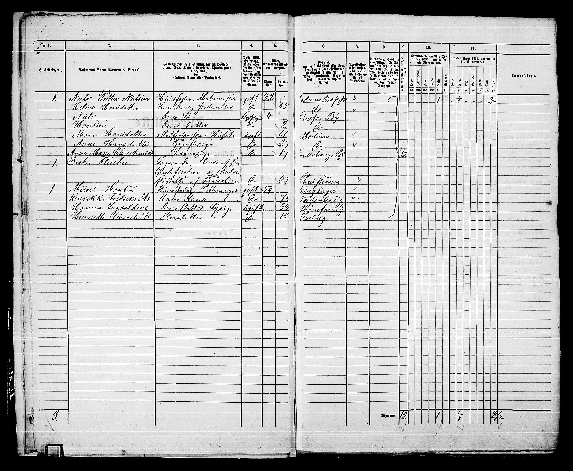 RA, 1865 census for Norderhov/Hønefoss, 1865, p. 14