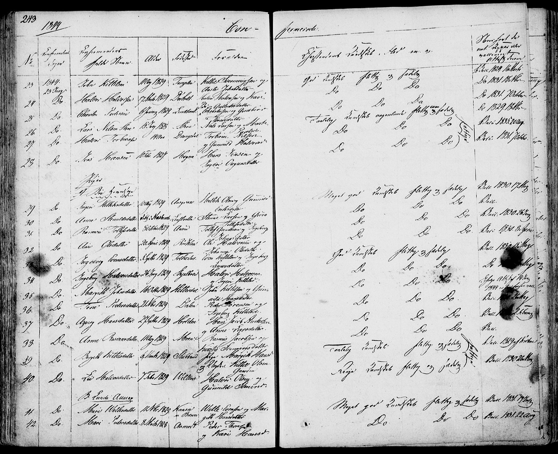 Bø kirkebøker, SAKO/A-257/F/Fa/L0007: Parish register (official) no. 7, 1831-1848, p. 243