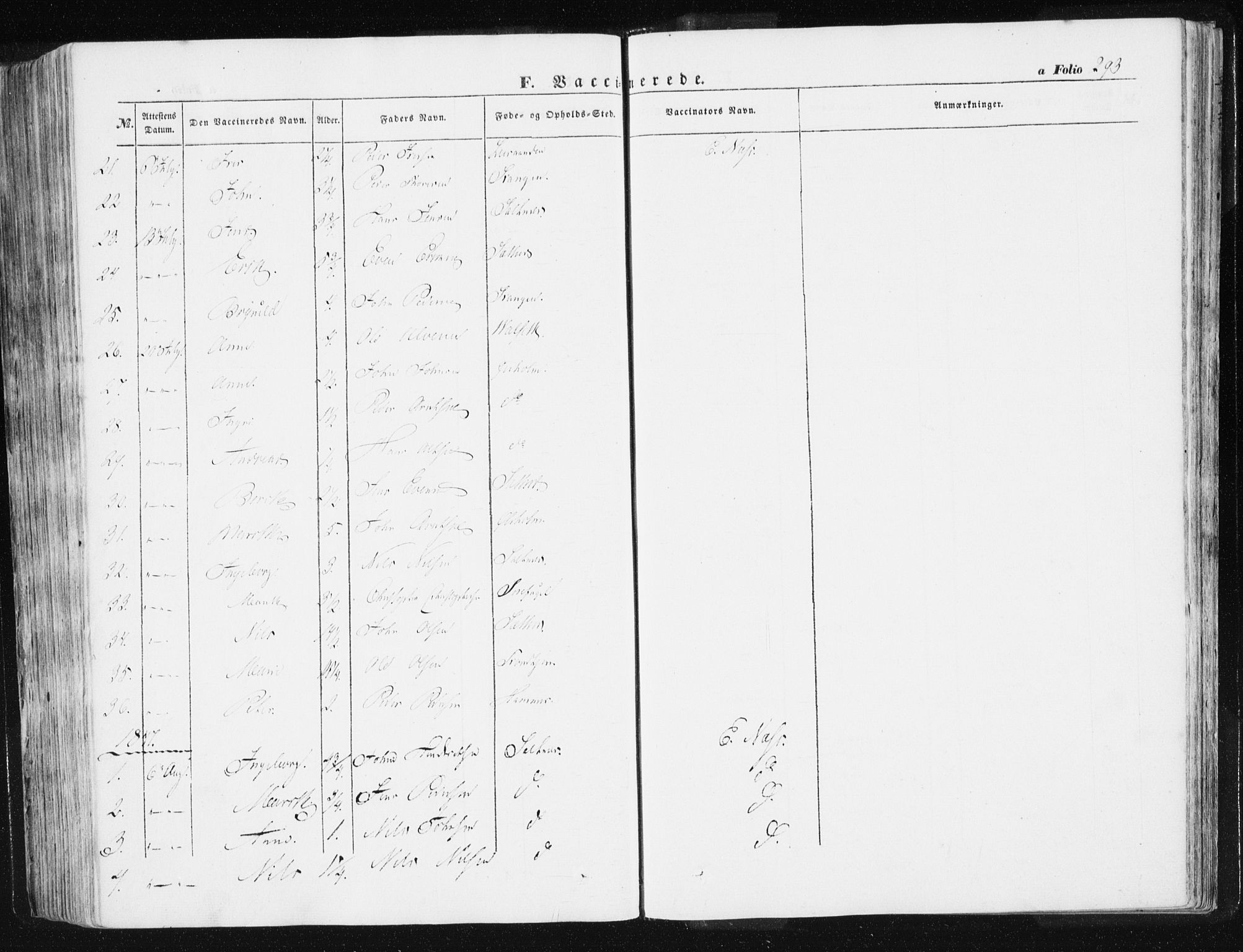 Ministerialprotokoller, klokkerbøker og fødselsregistre - Sør-Trøndelag, SAT/A-1456/612/L0376: Parish register (official) no. 612A08, 1846-1859, p. 293
