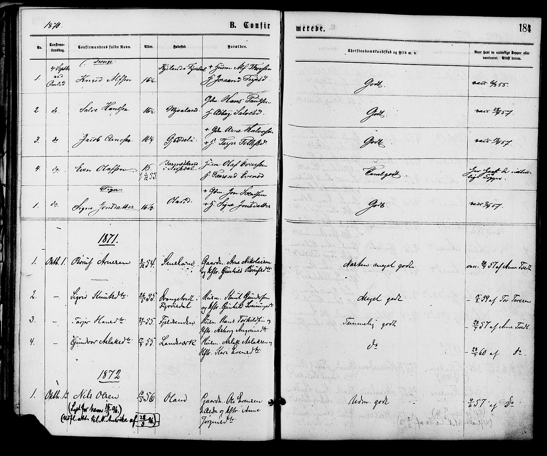 Åmli sokneprestkontor, AV/SAK-1111-0050/F/Fa/Fac/L0009: Parish register (official) no. A 9 /2, 1869-1884, p. 184