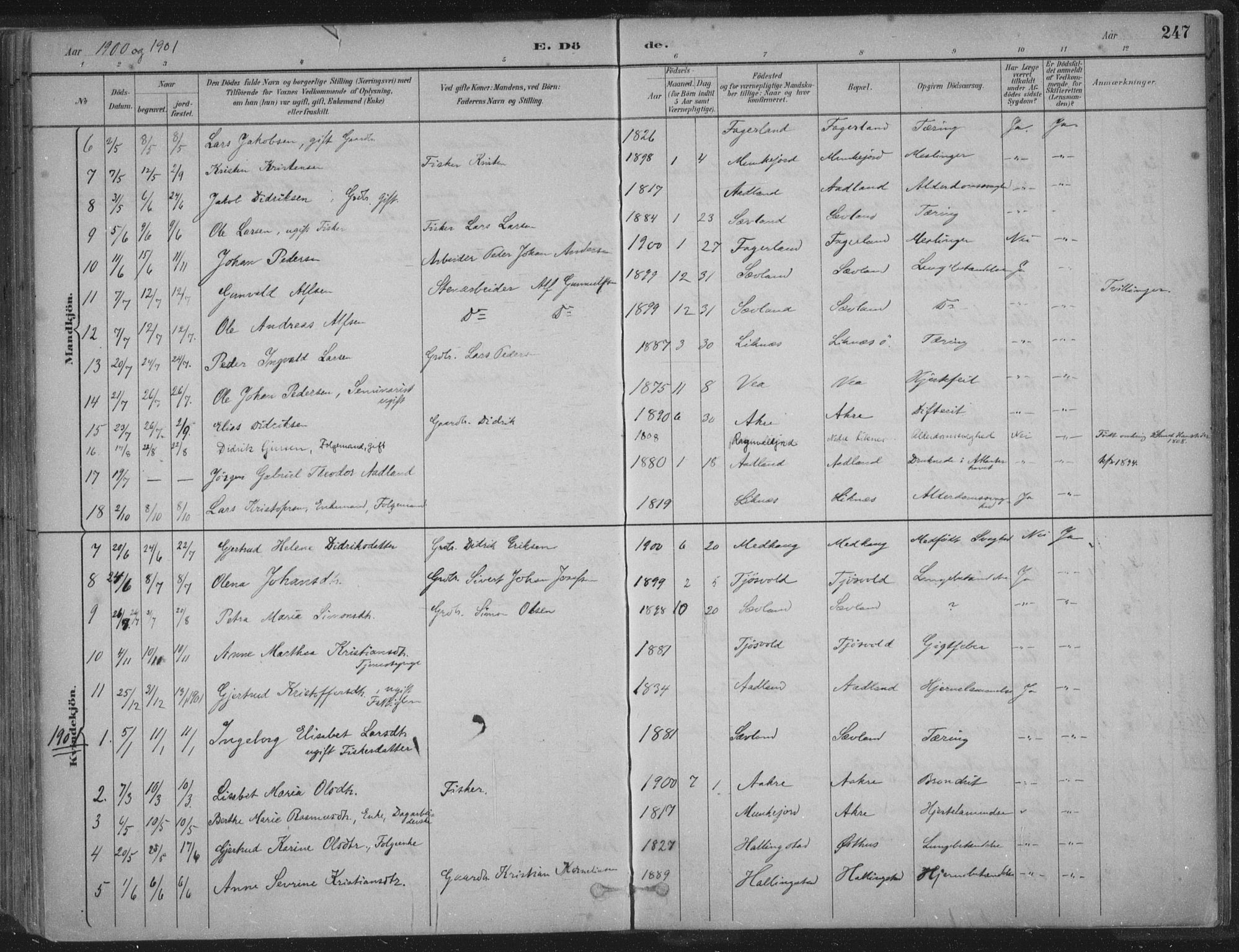 Kopervik sokneprestkontor, SAST/A-101850/H/Ha/Haa/L0004: Parish register (official) no. A 4, 1882-1905, p. 247