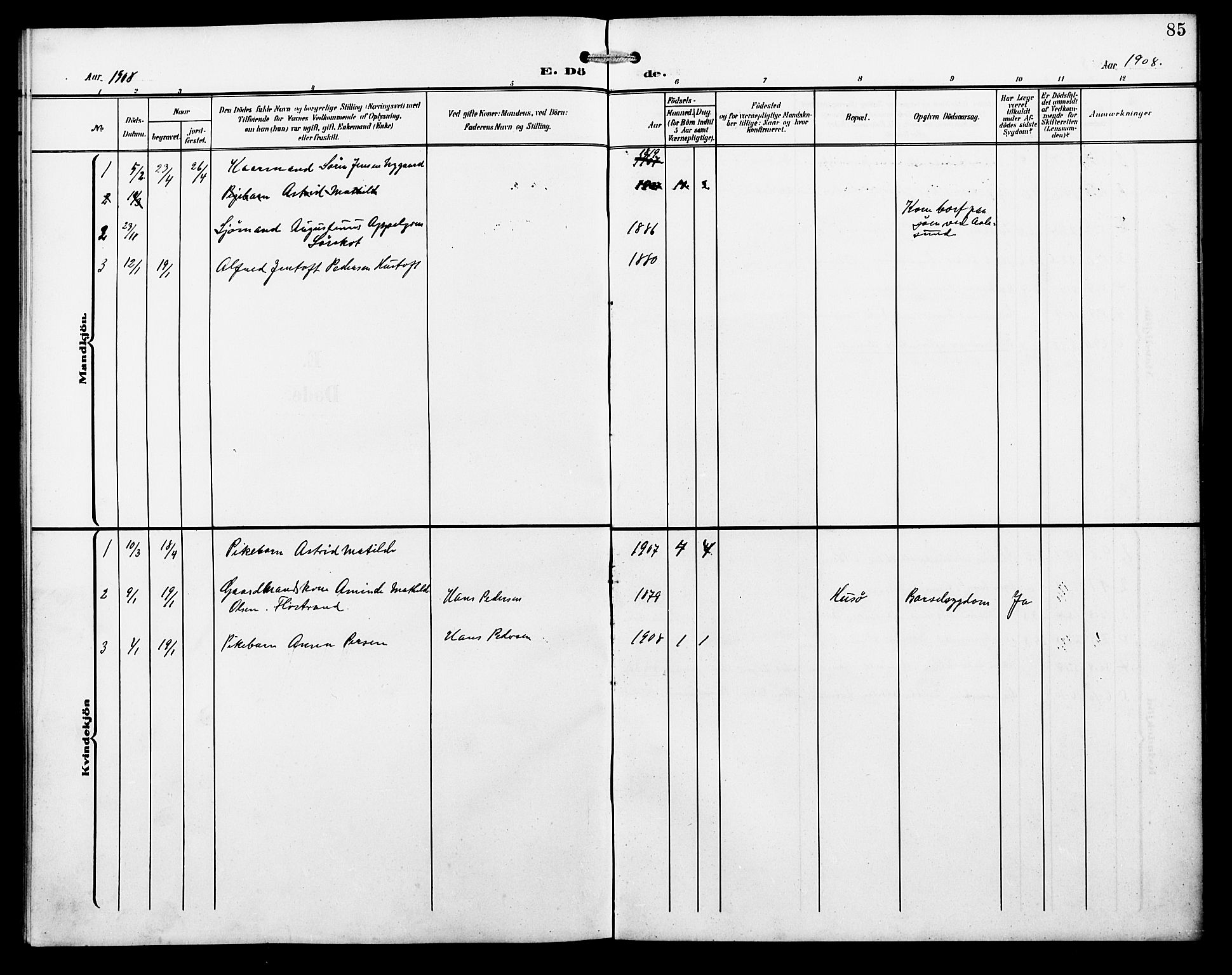 Ministerialprotokoller, klokkerbøker og fødselsregistre - Nordland, AV/SAT-A-1459/857/L0829: Parish register (copy) no. 857C04, 1906-1916, p. 85