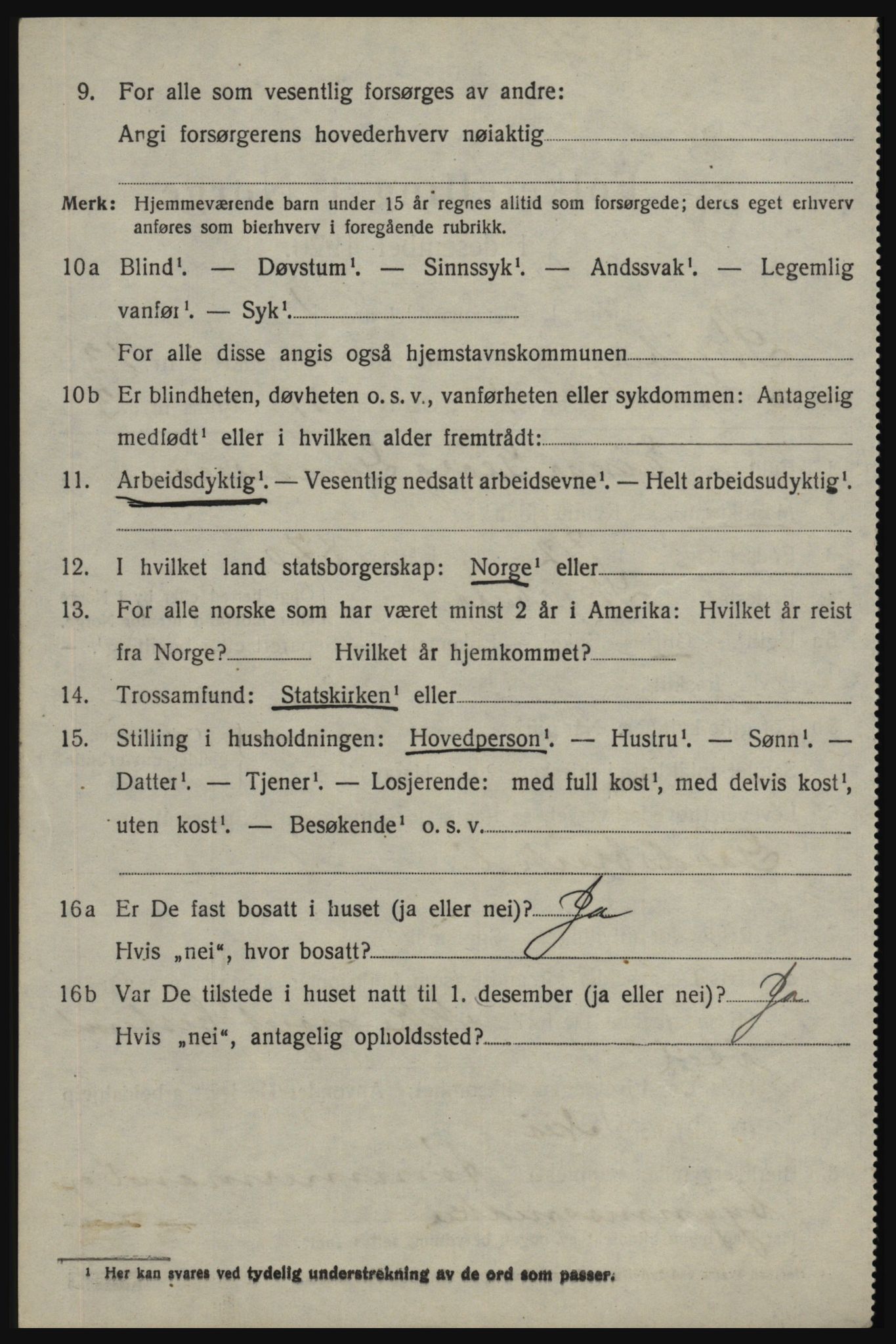 SAO, 1920 census for Skjeberg, 1920, p. 11636