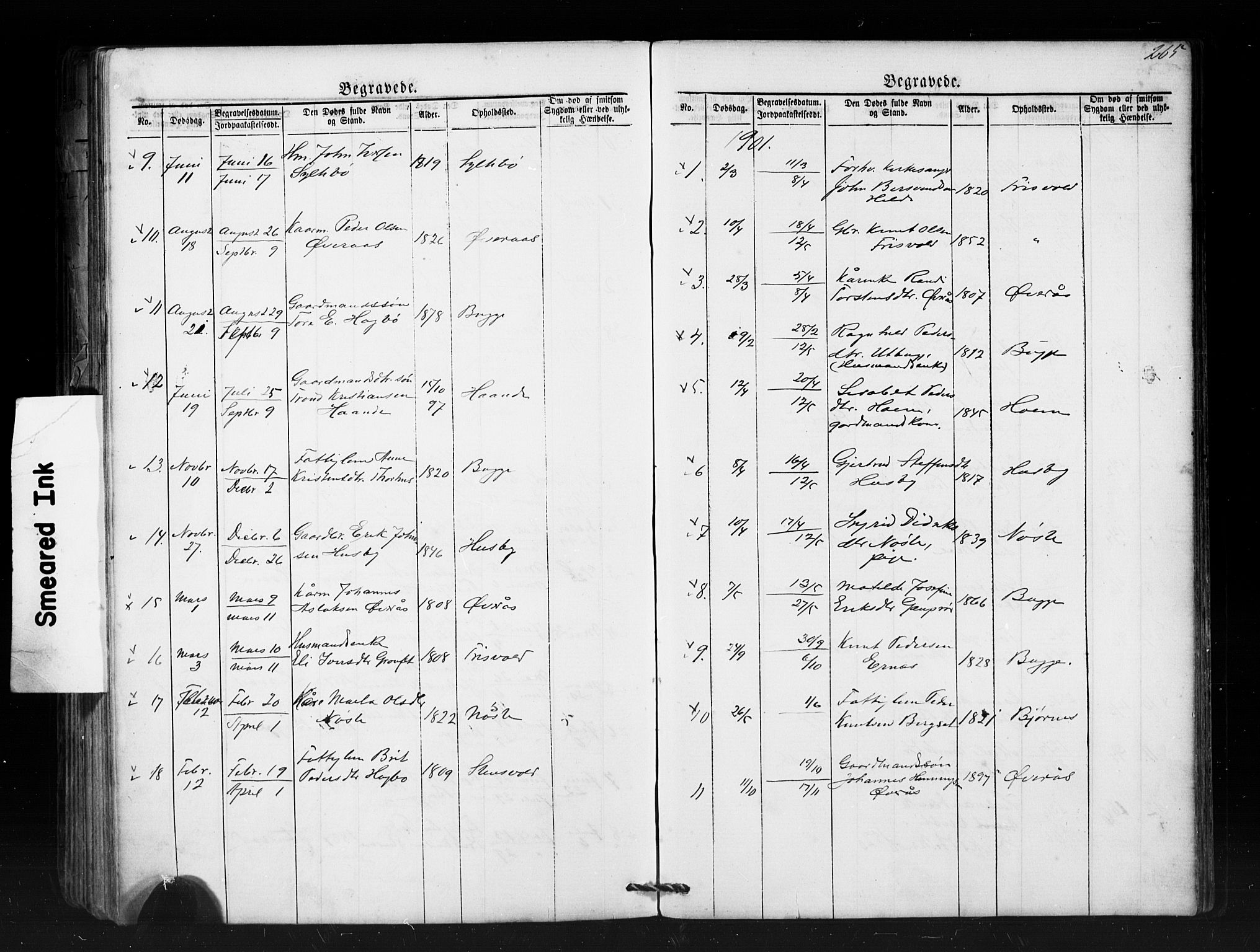 Ministerialprotokoller, klokkerbøker og fødselsregistre - Møre og Romsdal, SAT/A-1454/552/L0638: Parish register (copy) no. 552C01, 1867-1902, p. 265