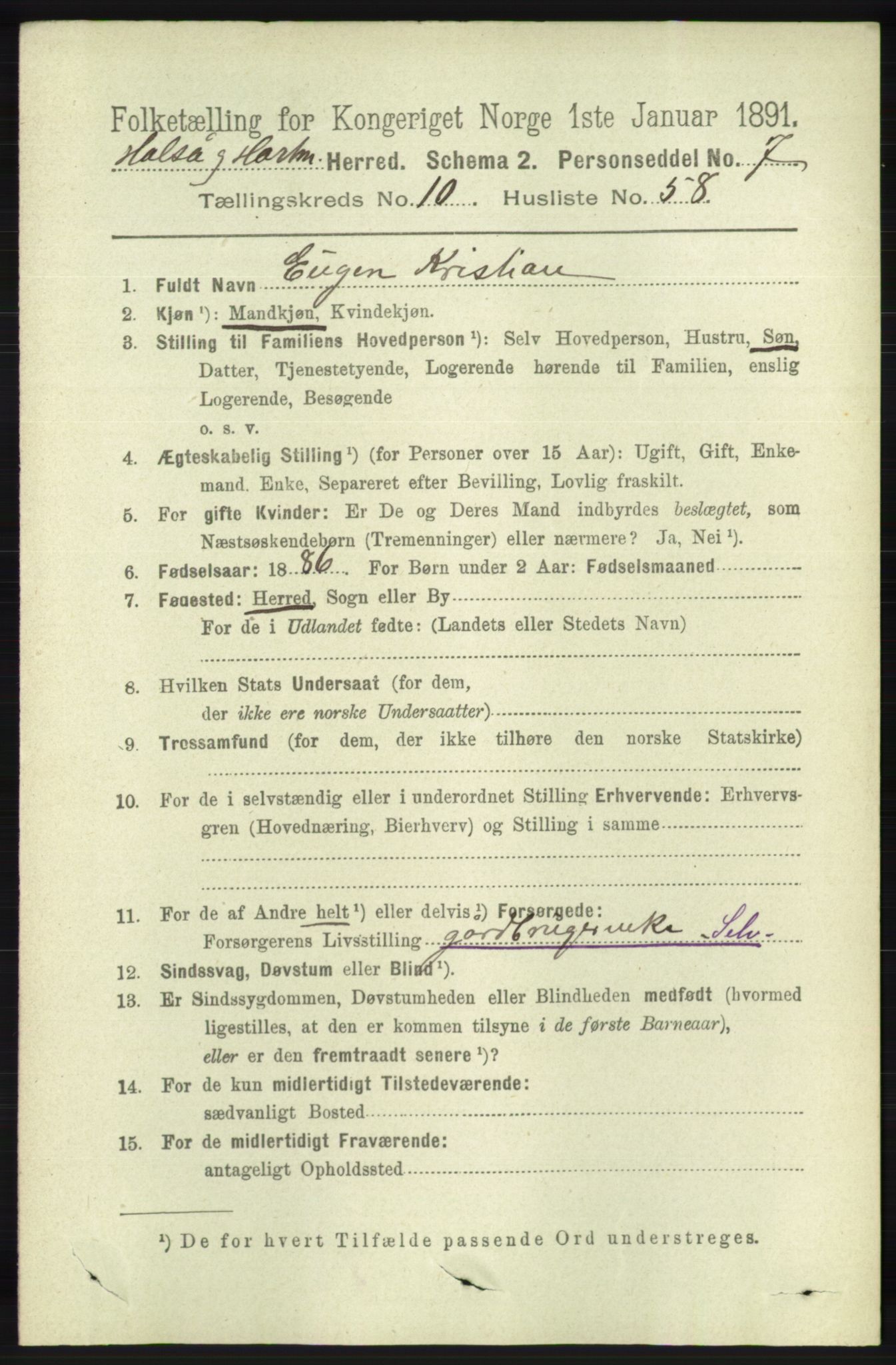 RA, 1891 census for 1019 Halse og Harkmark, 1891, p. 4128