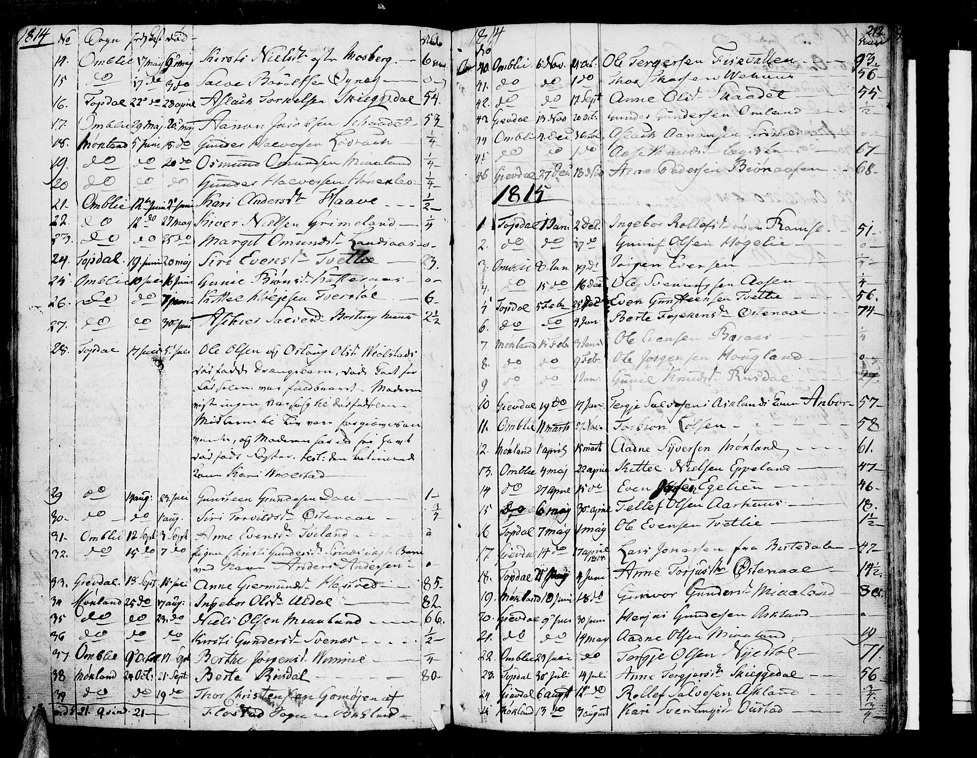 Åmli sokneprestkontor, AV/SAK-1111-0050/F/Fa/Fac/L0005: Parish register (official) no. A 5, 1796-1816, p. 212