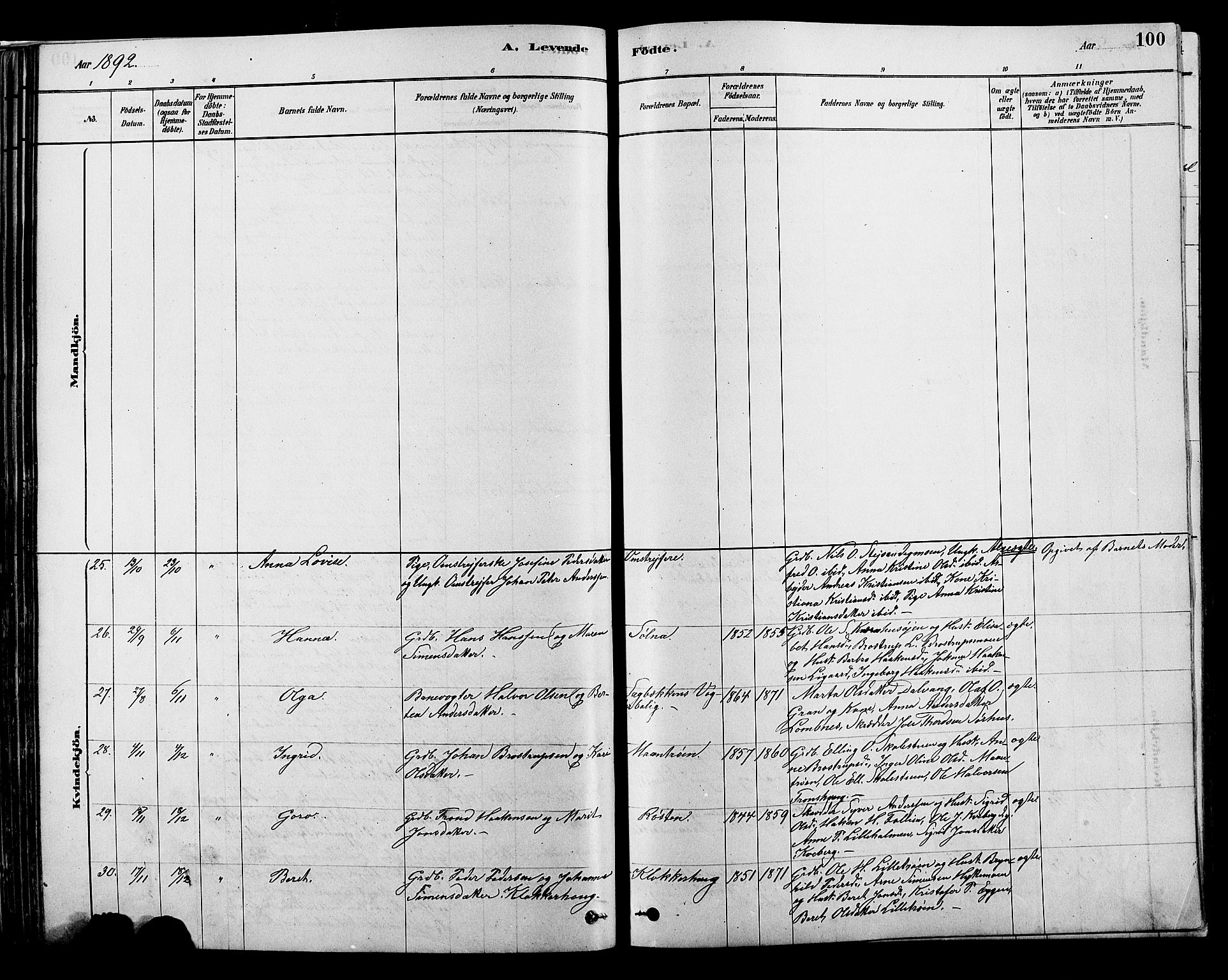 Alvdal prestekontor, SAH/PREST-060/H/Ha/Hab/L0003: Parish register (copy) no. 3, 1878-1907, p. 100