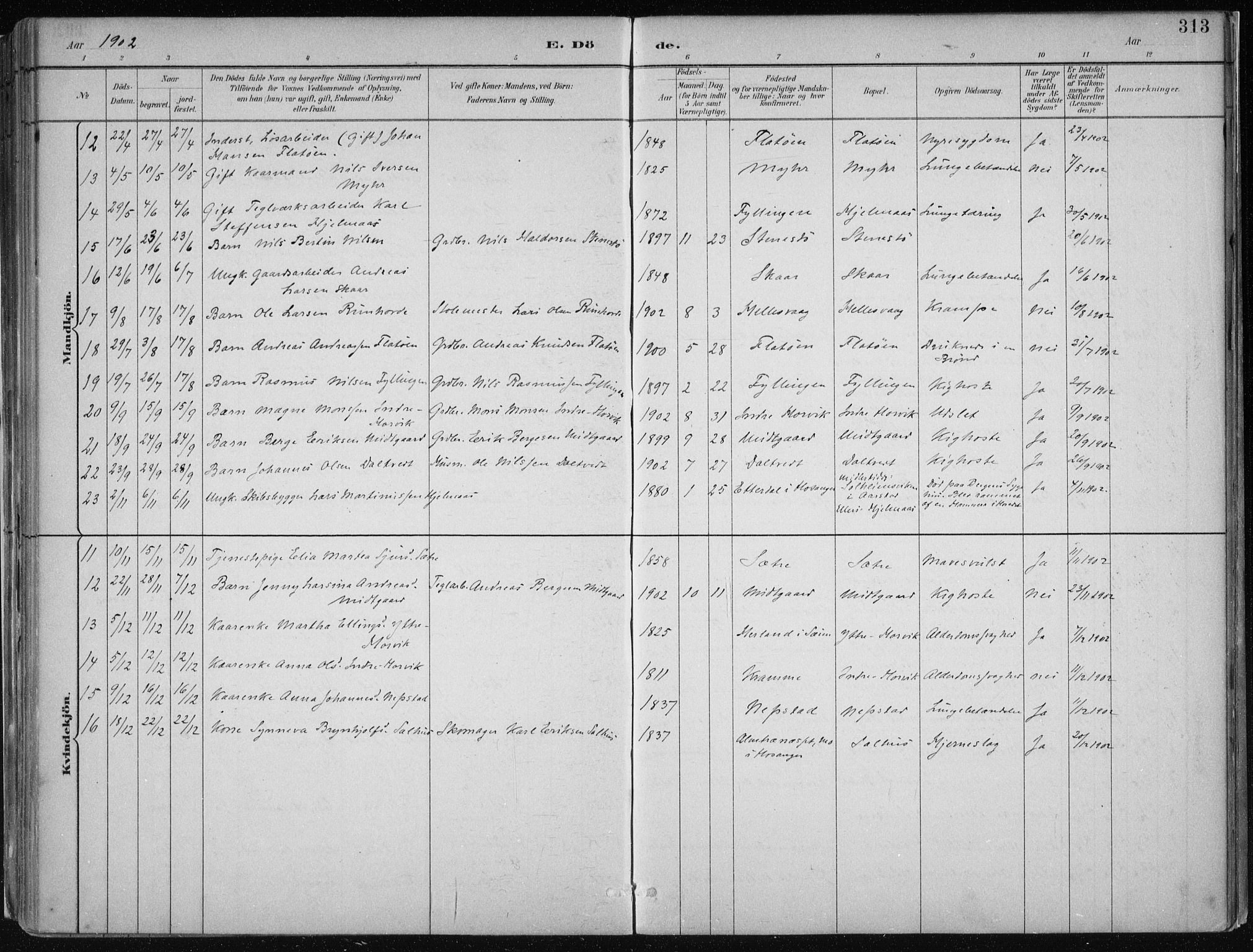 Hamre sokneprestembete, SAB/A-75501/H/Ha/Haa/Haab/L0001: Parish register (official) no. B  1, 1882-1905, p. 313