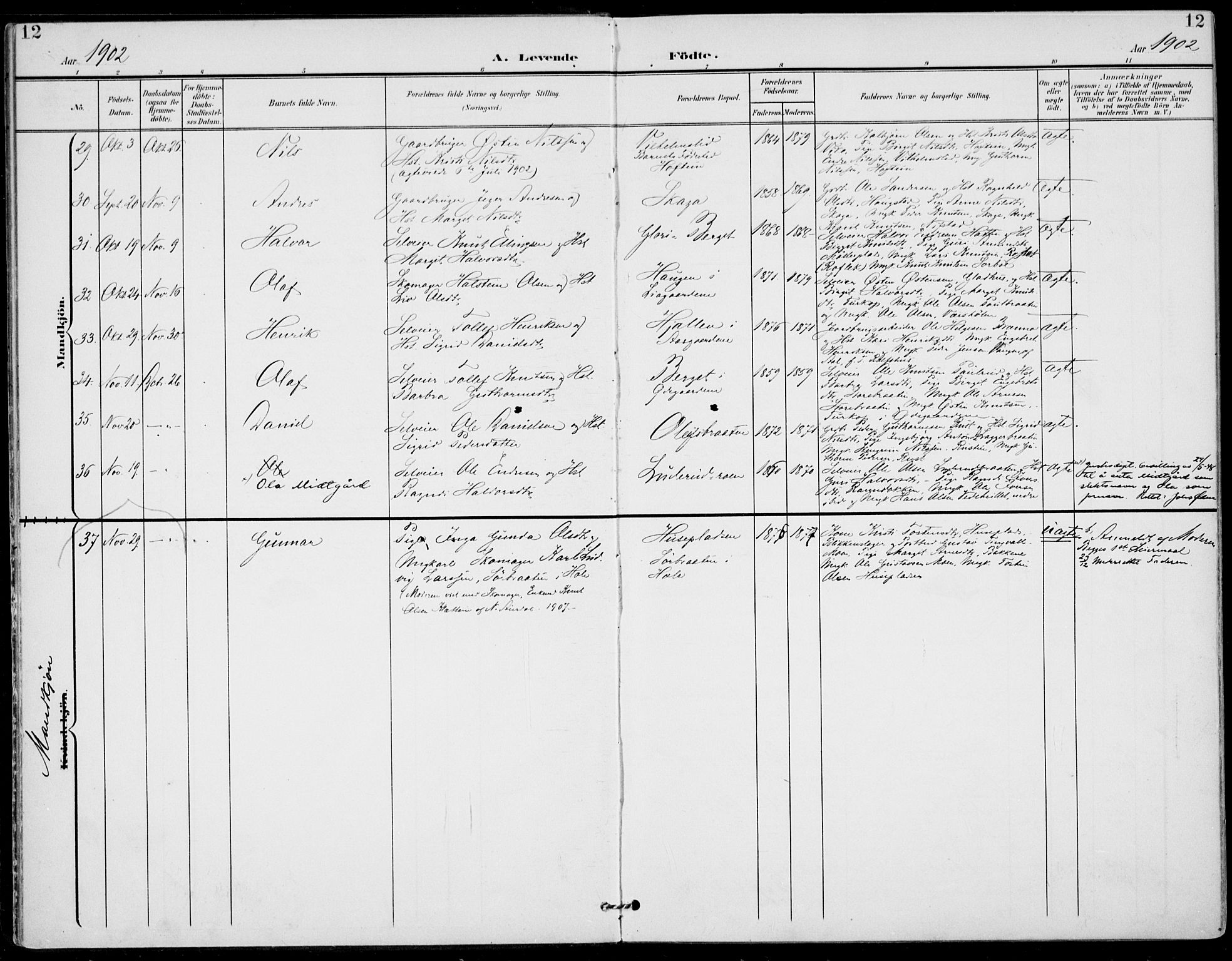 Gol kirkebøker, AV/SAKO-A-226/F/Fa/L0006: Parish register (official) no. I 6, 1901-1918, p. 12