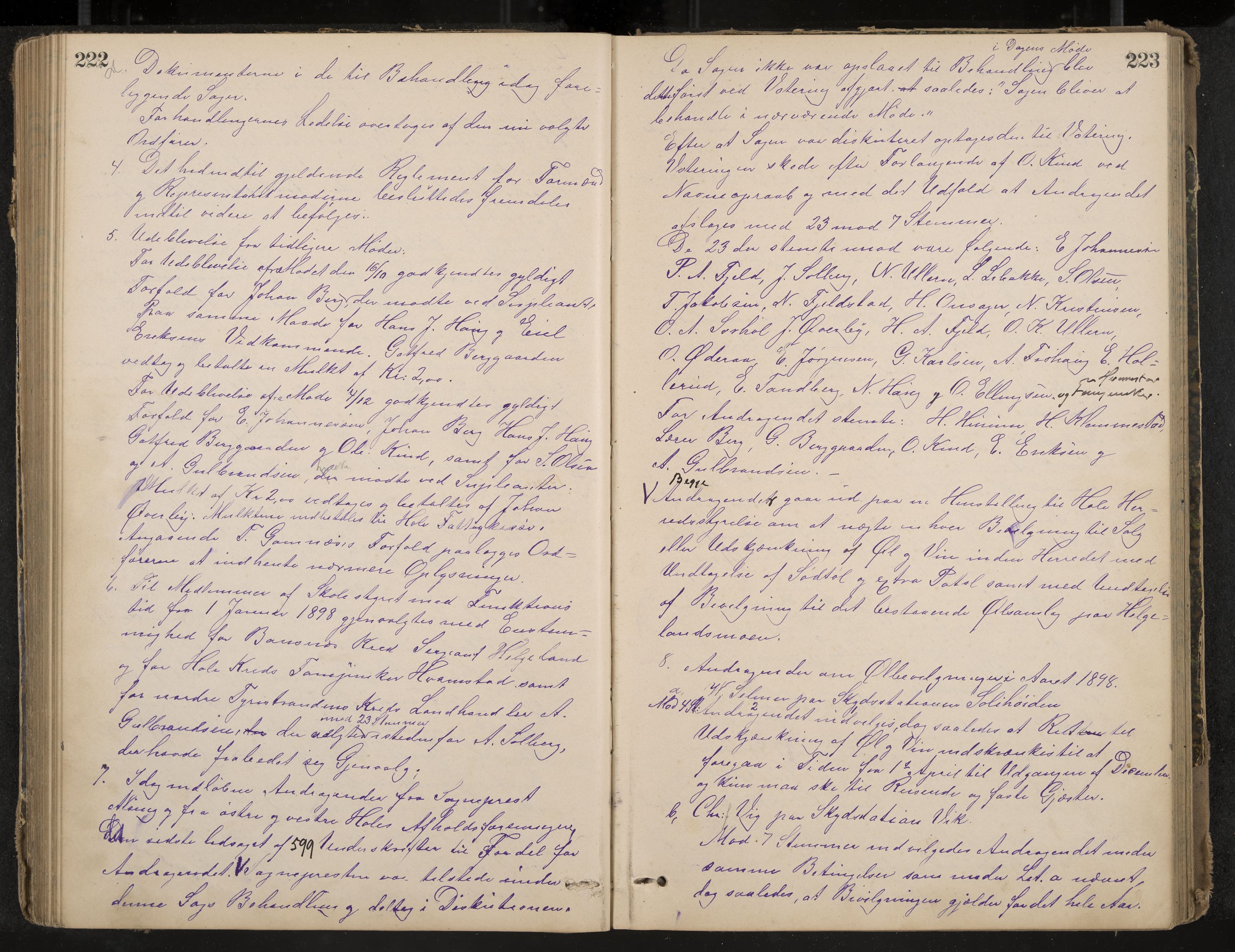 Hole formannskap og sentraladministrasjon, IKAK/0612021-1/A/Aa/L0003: Møtebok med register, 1892-1902, p. 222-223