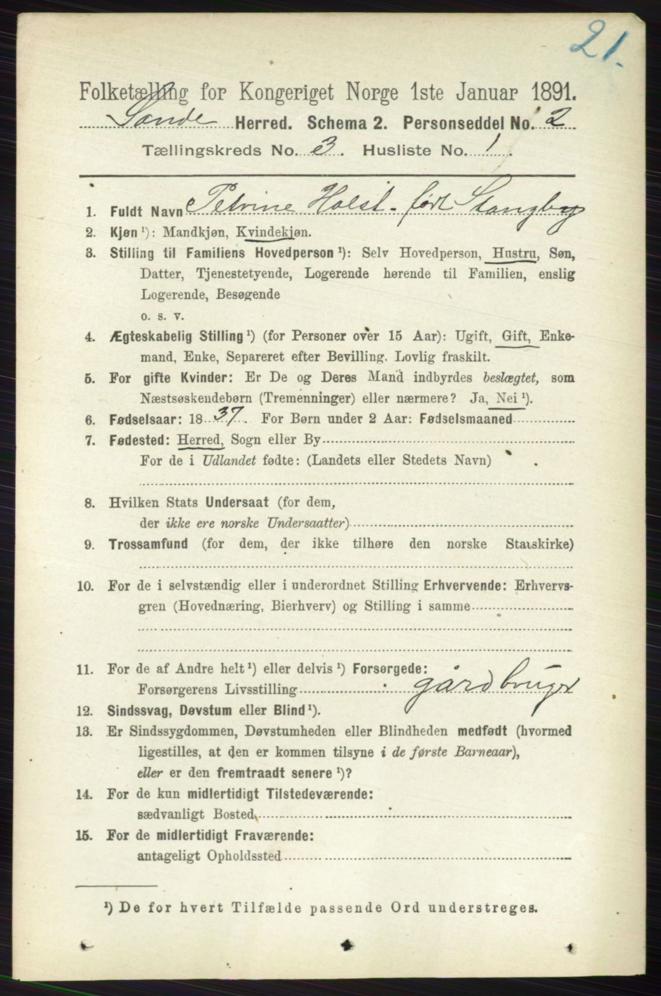 RA, 1891 census for 0713 Sande, 1891, p. 940