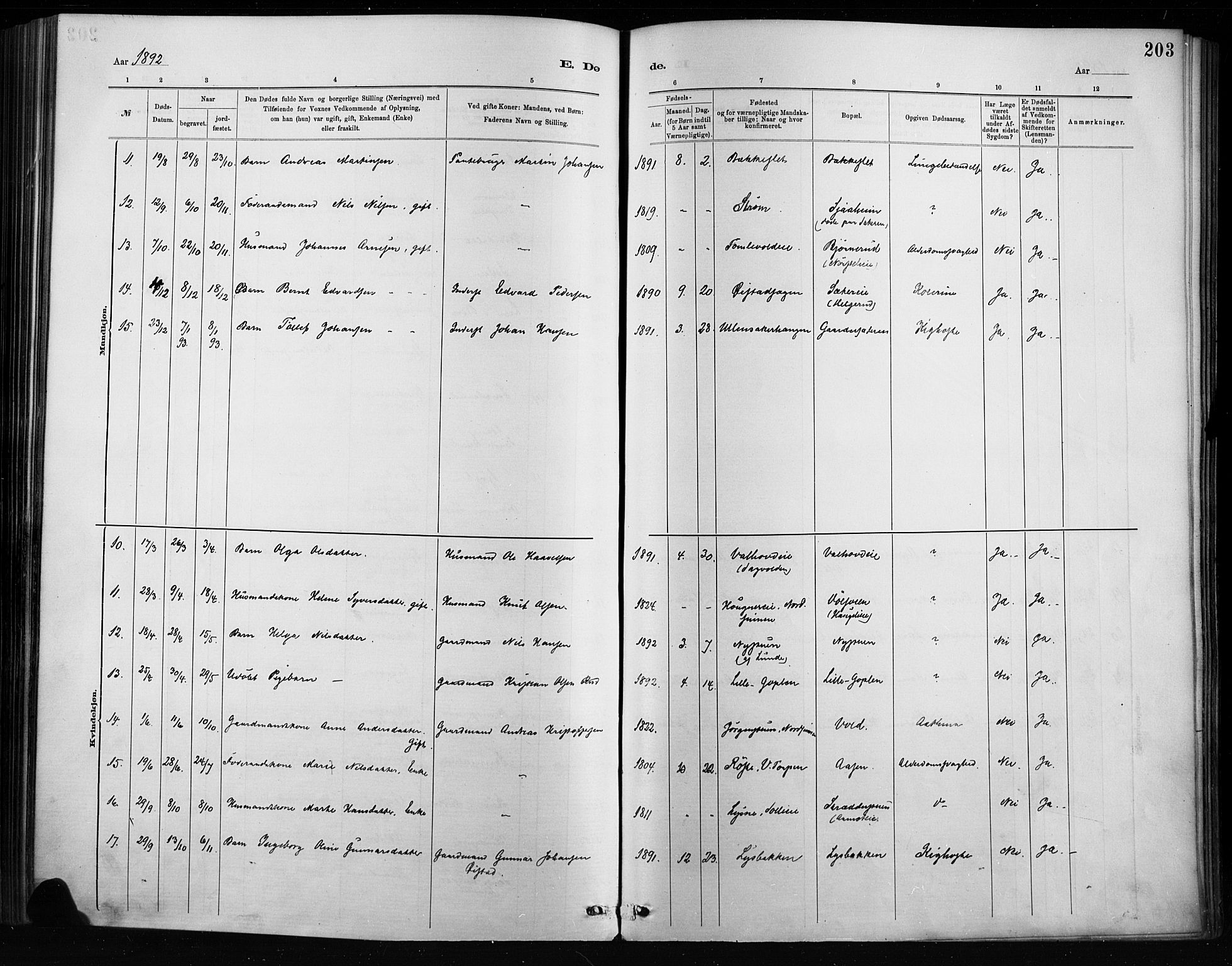 Nordre Land prestekontor, SAH/PREST-124/H/Ha/Haa/L0004: Parish register (official) no. 4, 1882-1896, p. 203