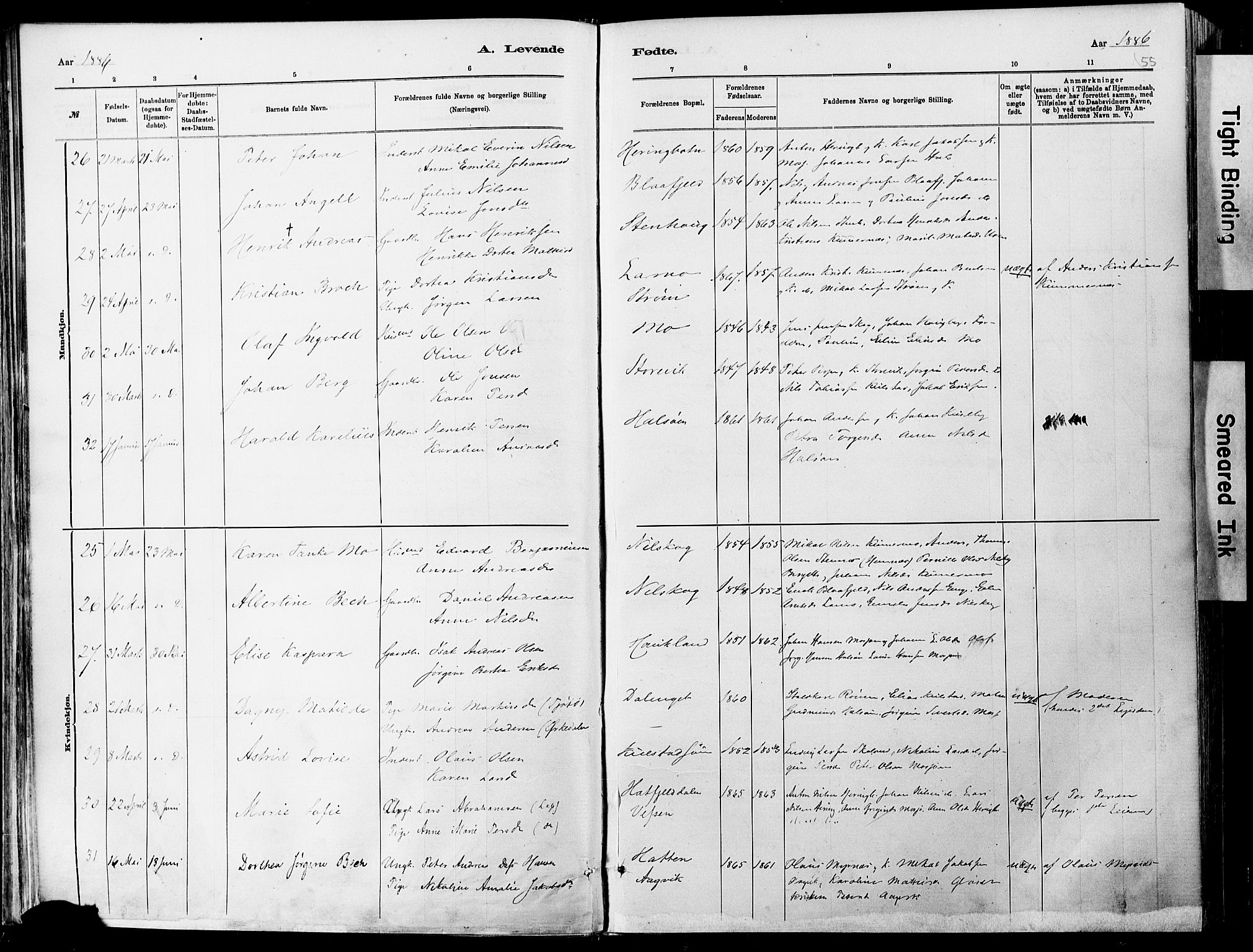 Ministerialprotokoller, klokkerbøker og fødselsregistre - Nordland, AV/SAT-A-1459/820/L0295: Parish register (official) no. 820A16, 1880-1896, p. 55