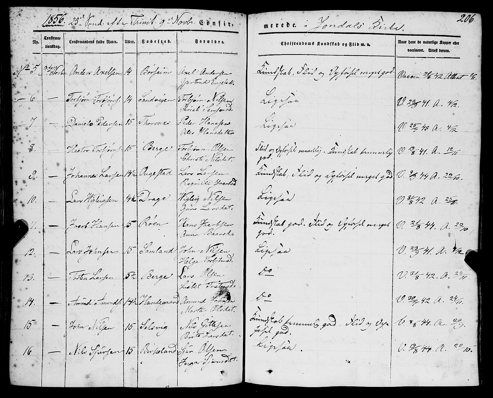 Strandebarm sokneprestembete, AV/SAB-A-78401/H/Haa: Parish register (official) no. A 7, 1844-1872, p. 206