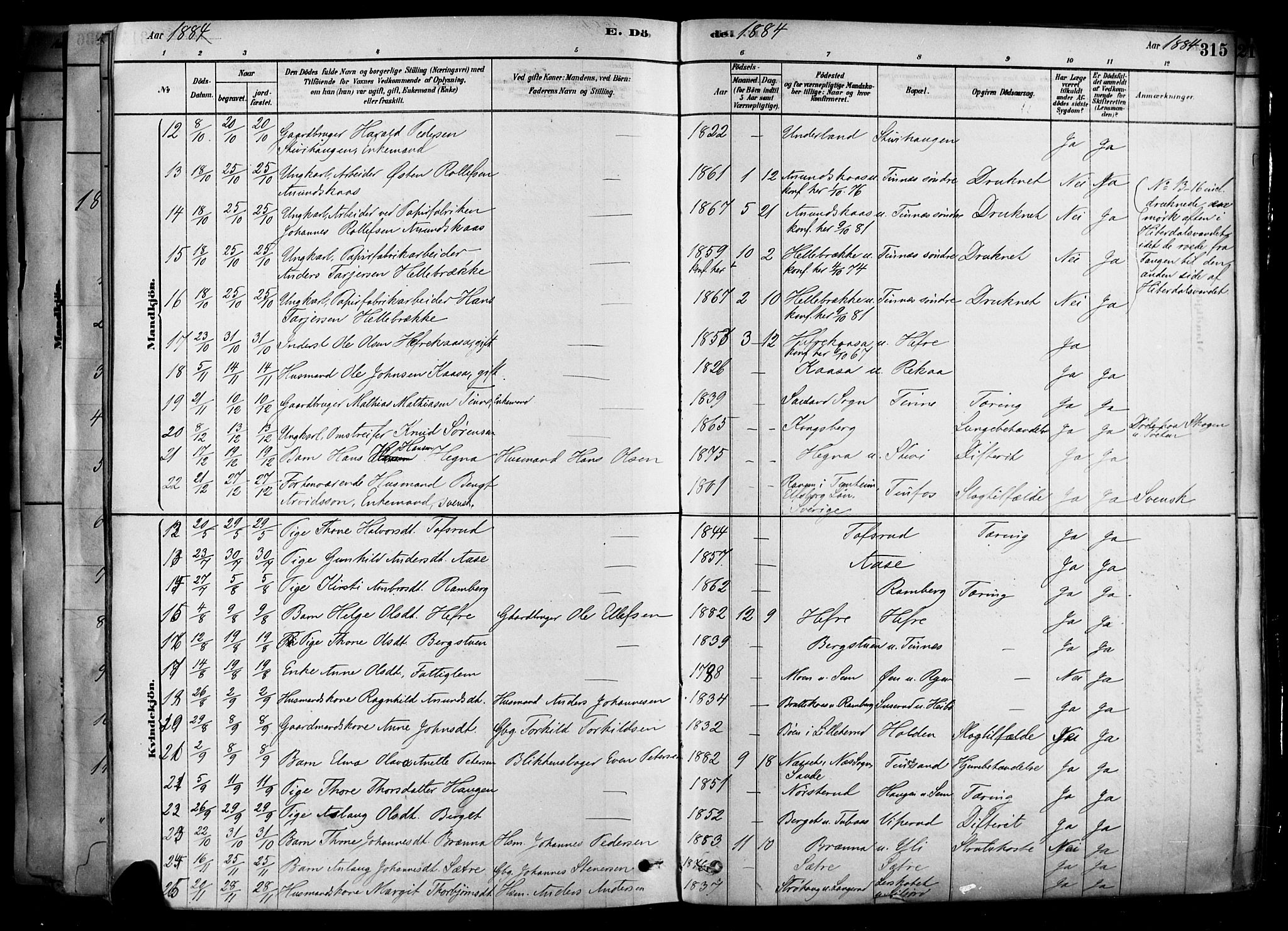 Heddal kirkebøker, AV/SAKO-A-268/F/Fa/L0008: Parish register (official) no. I 8, 1878-1903, p. 315