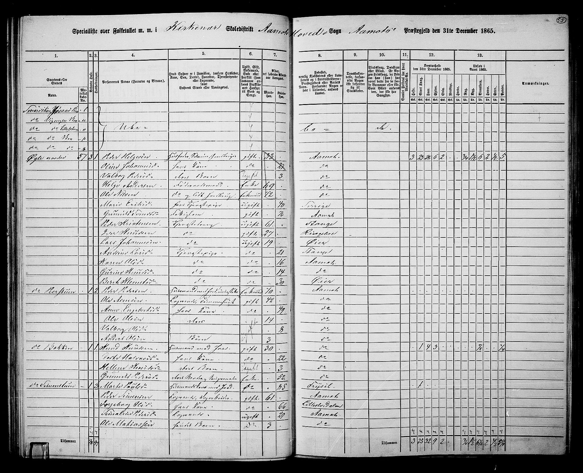 RA, 1865 census for Åmot, 1865, p. 52