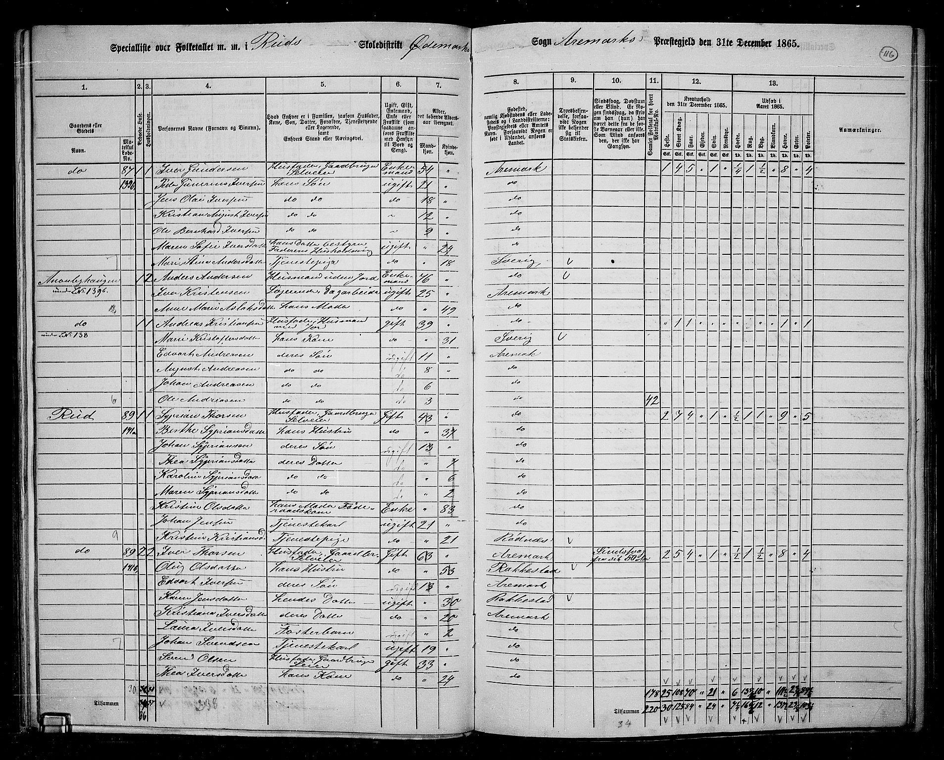 RA, 1865 census for Aremark, 1865, p. 104