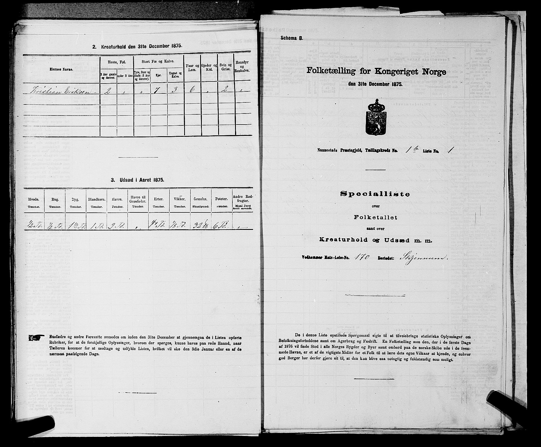 RA, 1875 census for 0238P Nannestad, 1875, p. 168