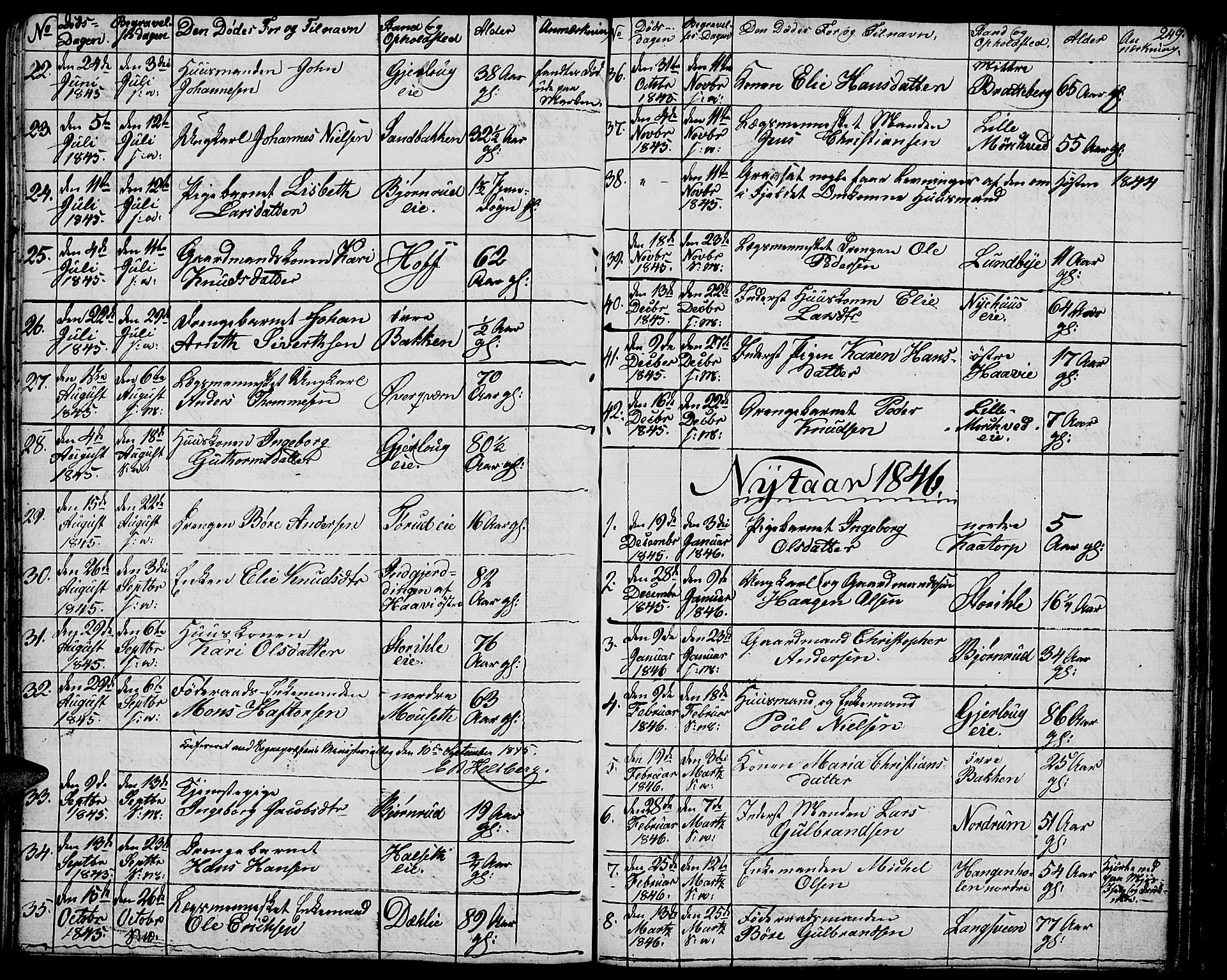 Vang prestekontor, Hedmark, AV/SAH-PREST-008/H/Ha/Hab/L0009: Parish register (copy) no. 9, 1836-1870, p. 249