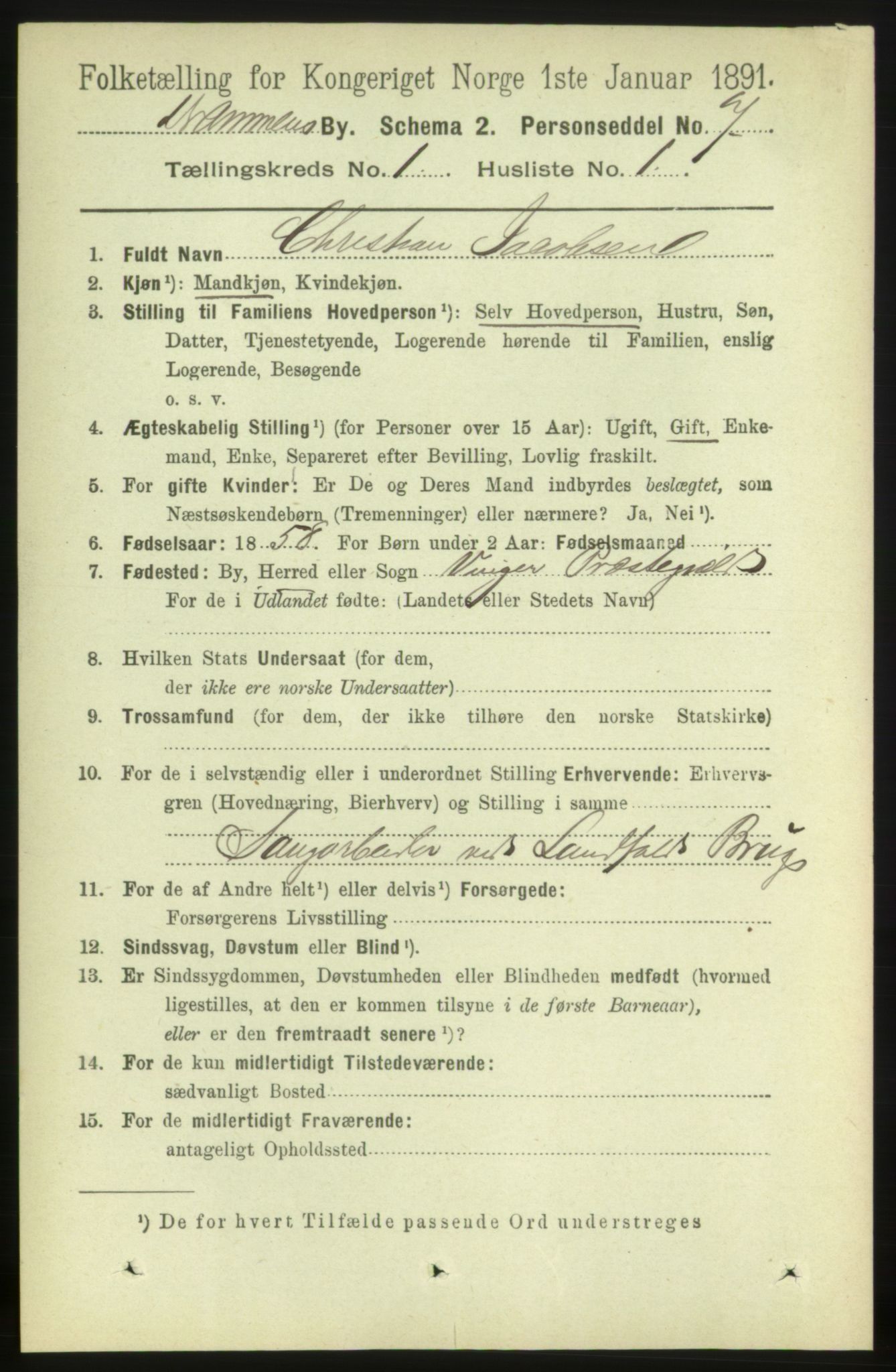 RA, 1891 census for 0602 Drammen, 1891, p. 3900