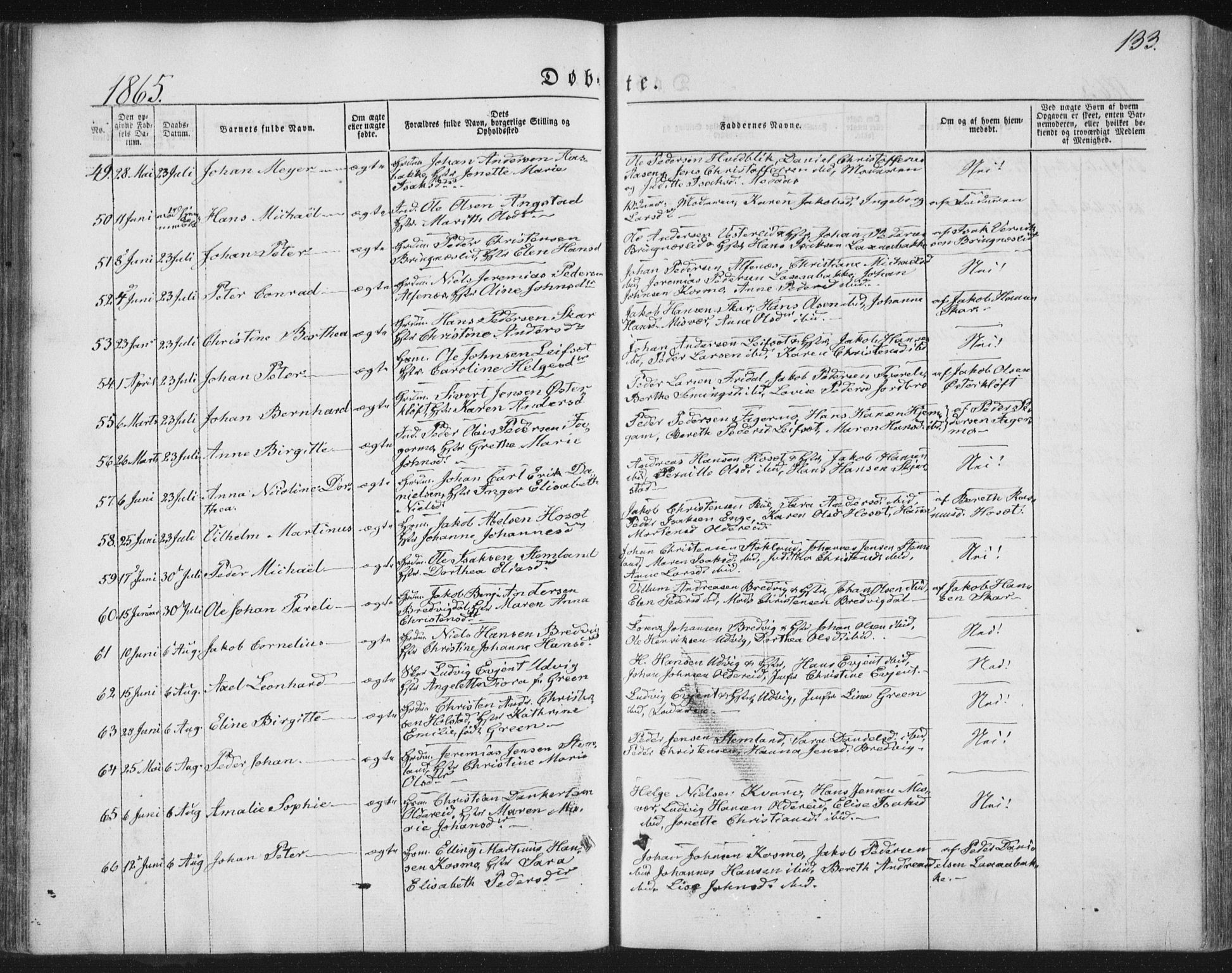 Ministerialprotokoller, klokkerbøker og fødselsregistre - Nordland, SAT/A-1459/852/L0738: Parish register (official) no. 852A08, 1849-1865, p. 133