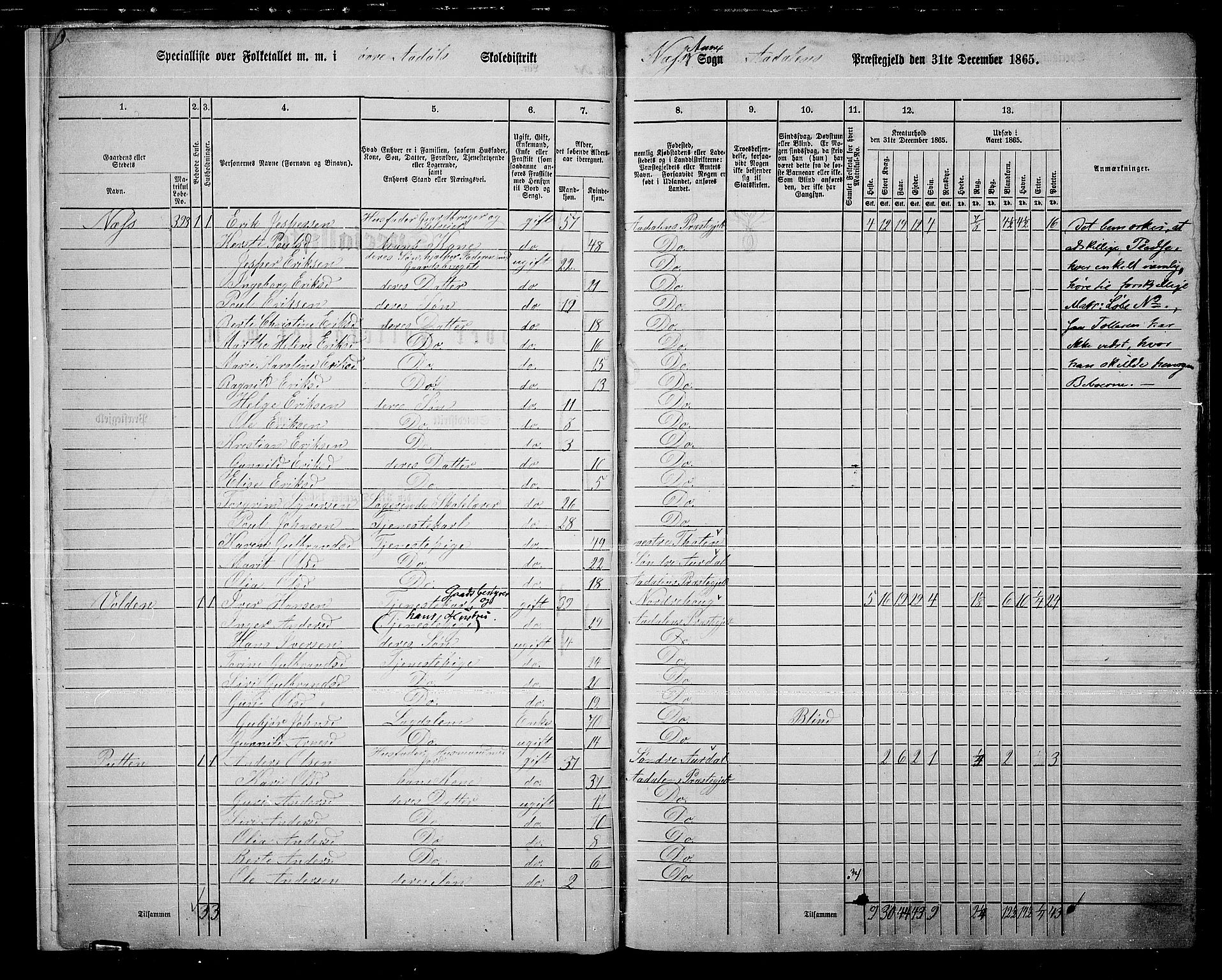 RA, 1865 census for Ådal, 1865, p. 10