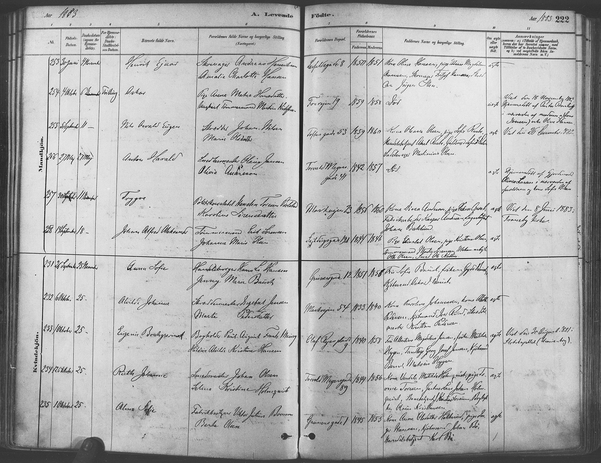 Paulus prestekontor Kirkebøker, AV/SAO-A-10871/F/Fa/L0003: Parish register (official) no. 3, 1879-1887, p. 222