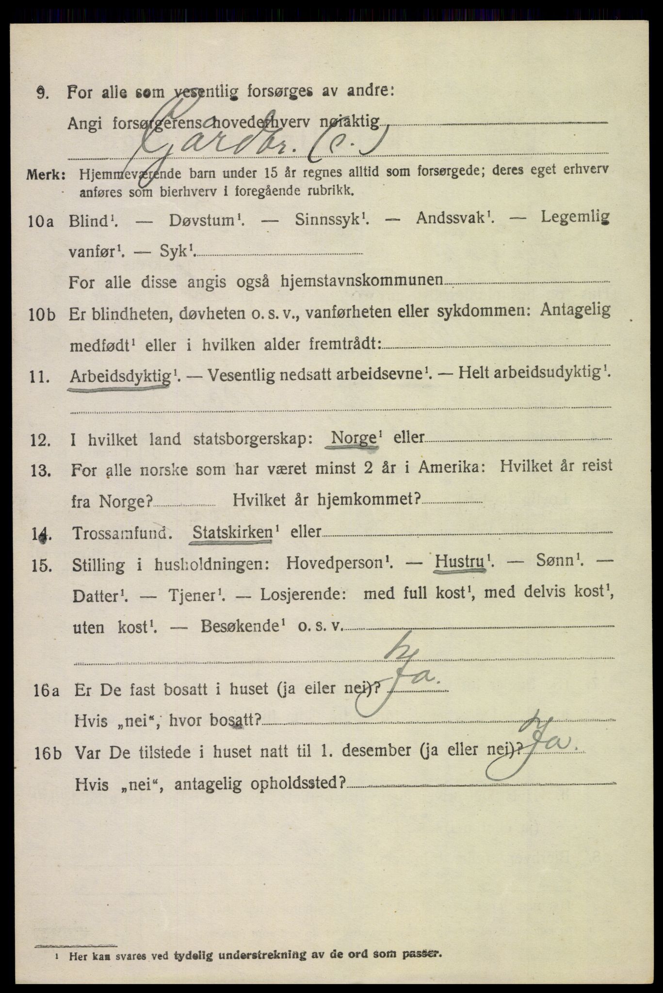 SAH, 1920 census for Vågå, 1920, p. 3381