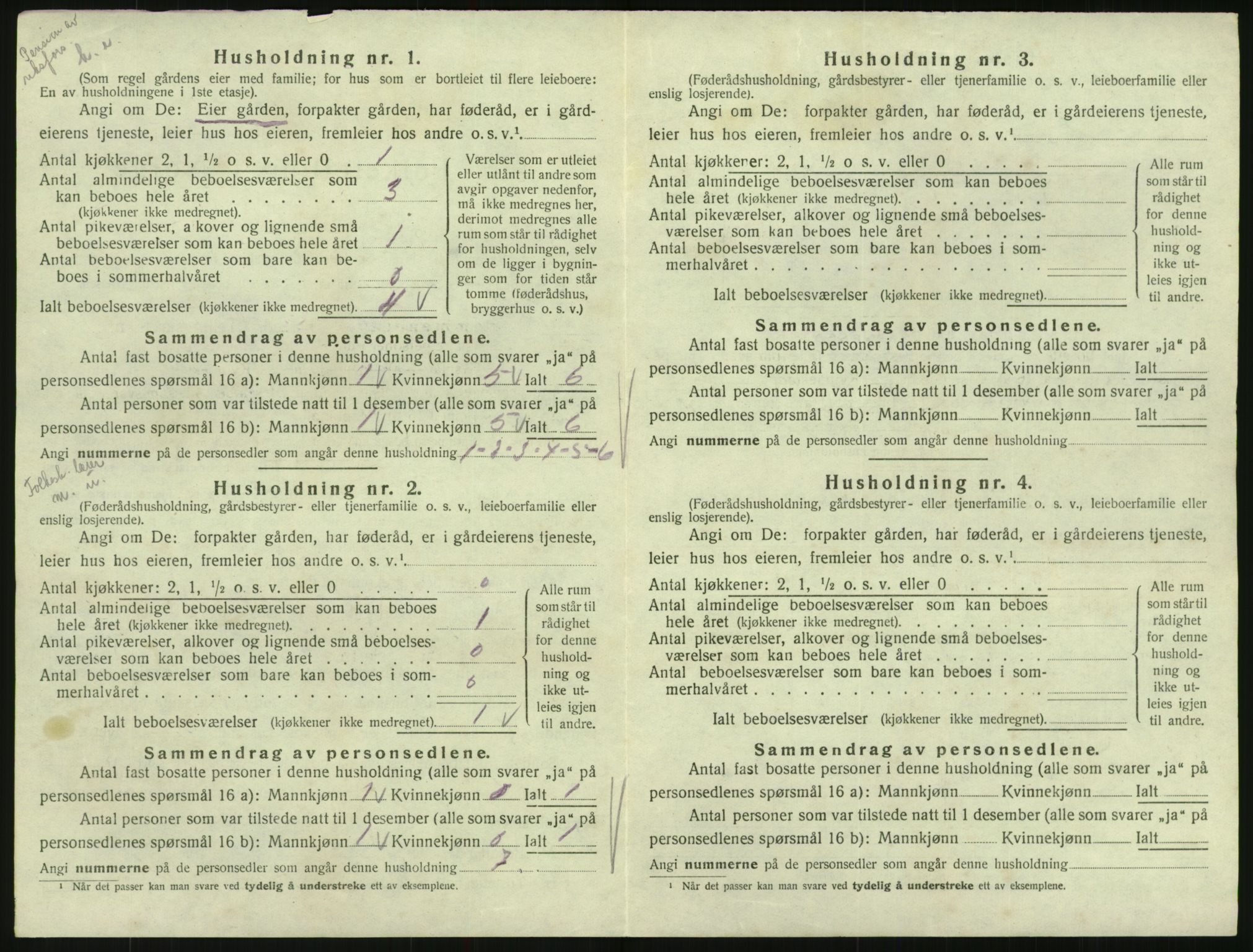 SAK, 1920 census for Hornnes, 1920, p. 88