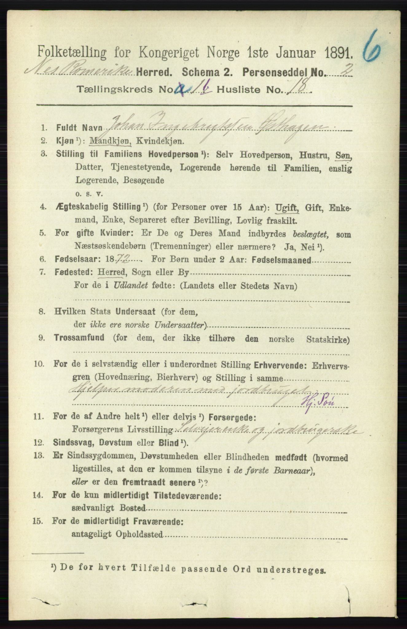 RA, 1891 census for 0236 Nes, 1891, p. 821