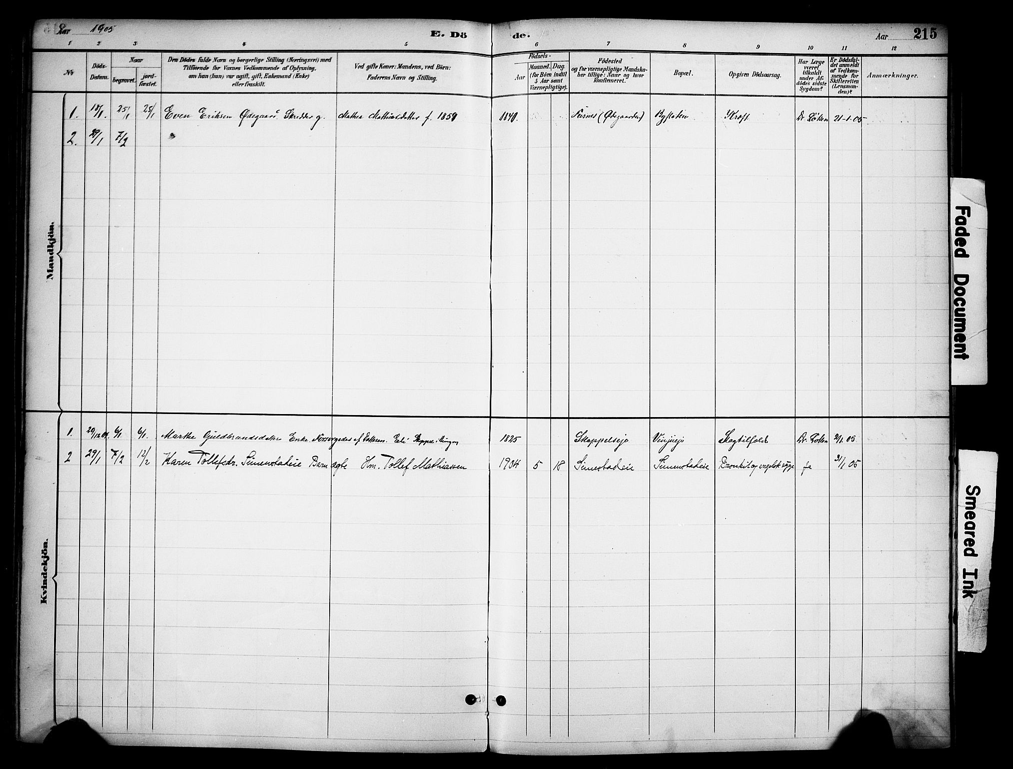 Ringsaker prestekontor, SAH/PREST-014/K/Ka/L0016: Parish register (official) no. 16, 1891-1904, p. 215