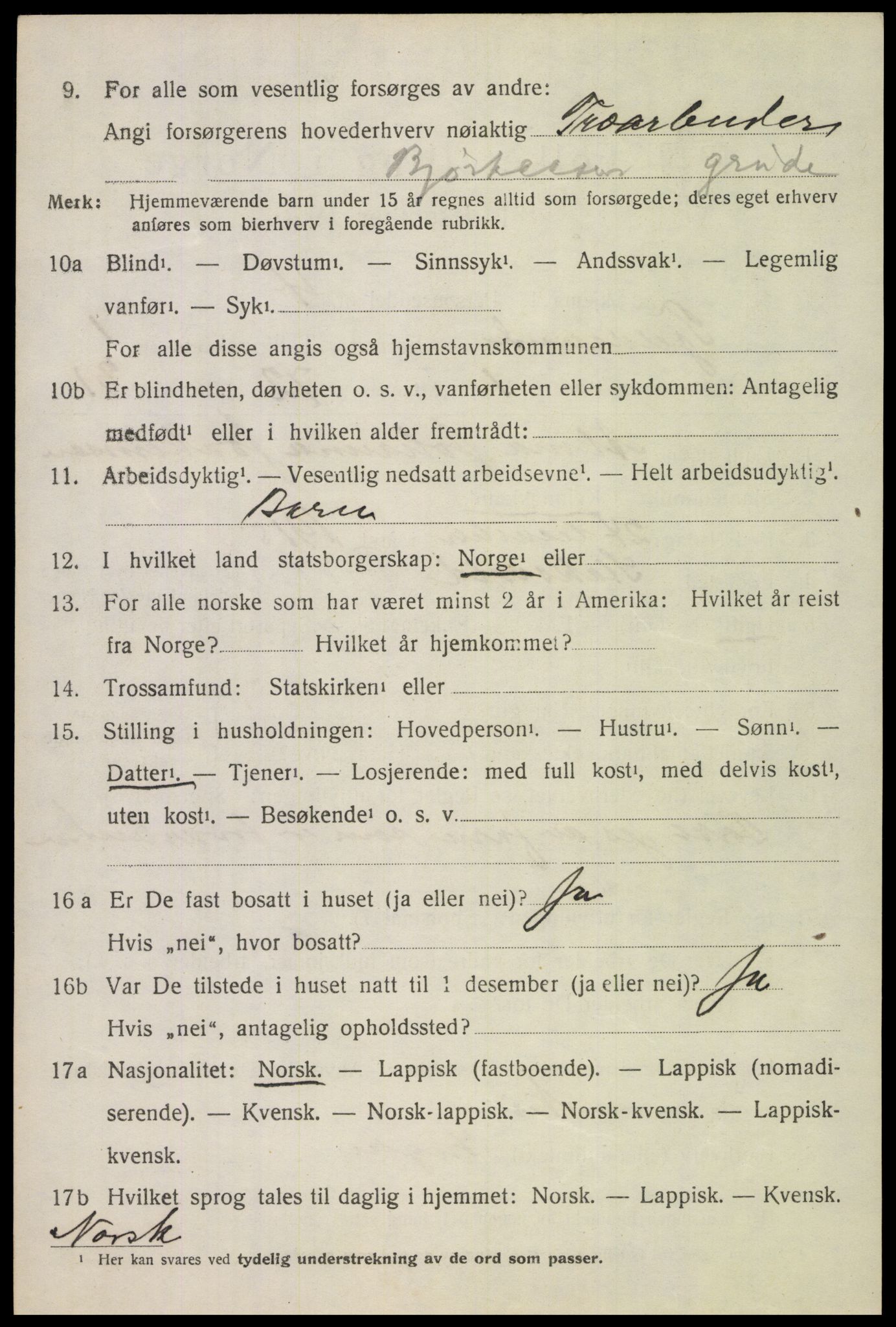 SAT, 1920 census for Tjeldsund, 1920, p. 507