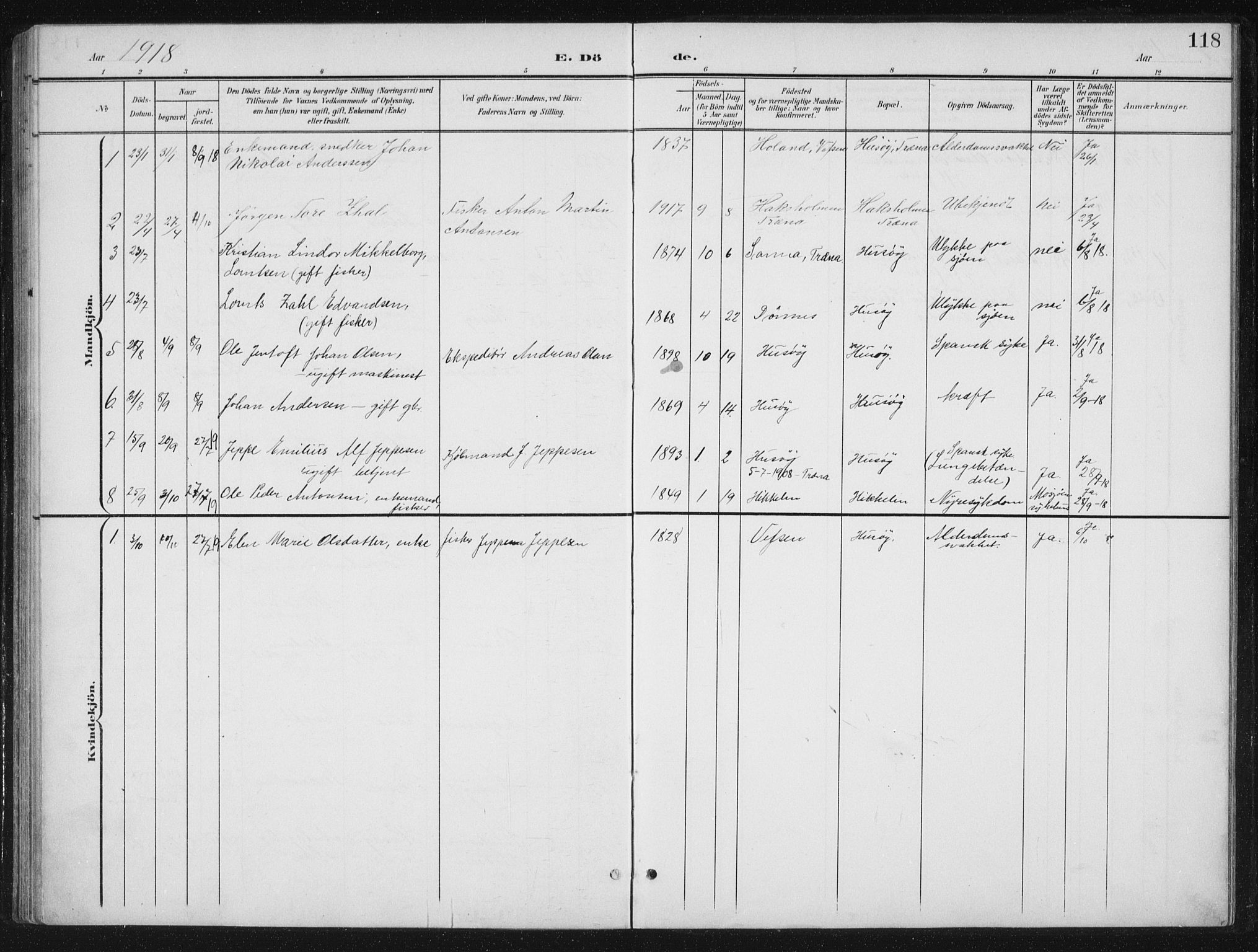 Ministerialprotokoller, klokkerbøker og fødselsregistre - Nordland, SAT/A-1459/840/L0583: Parish register (copy) no. 840C03, 1901-1933, p. 118
