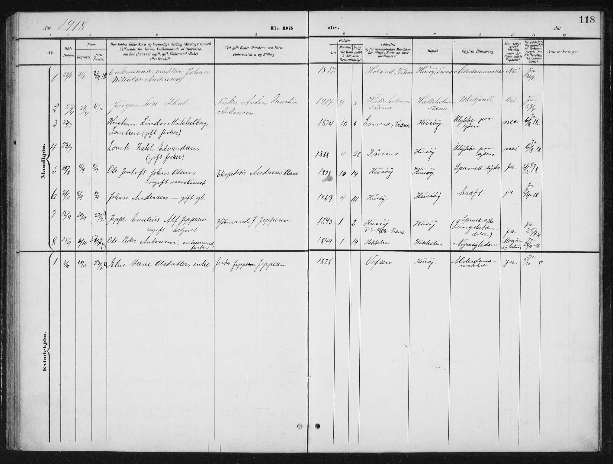 Ministerialprotokoller, klokkerbøker og fødselsregistre - Nordland, AV/SAT-A-1459/840/L0583: Parish register (copy) no. 840C03, 1901-1933, p. 118